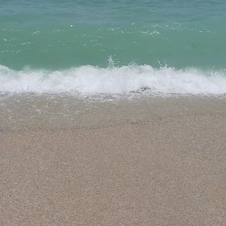 Round Island Beach Park - Parks Near Me - Vero Beach, Florida