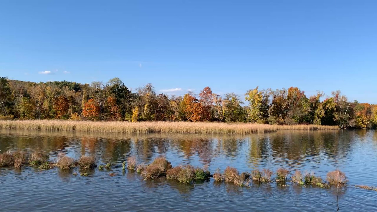 Hudson River Cruises - Fall Foliage Cruise. - Boat Charters Near Me - Kingston, New York