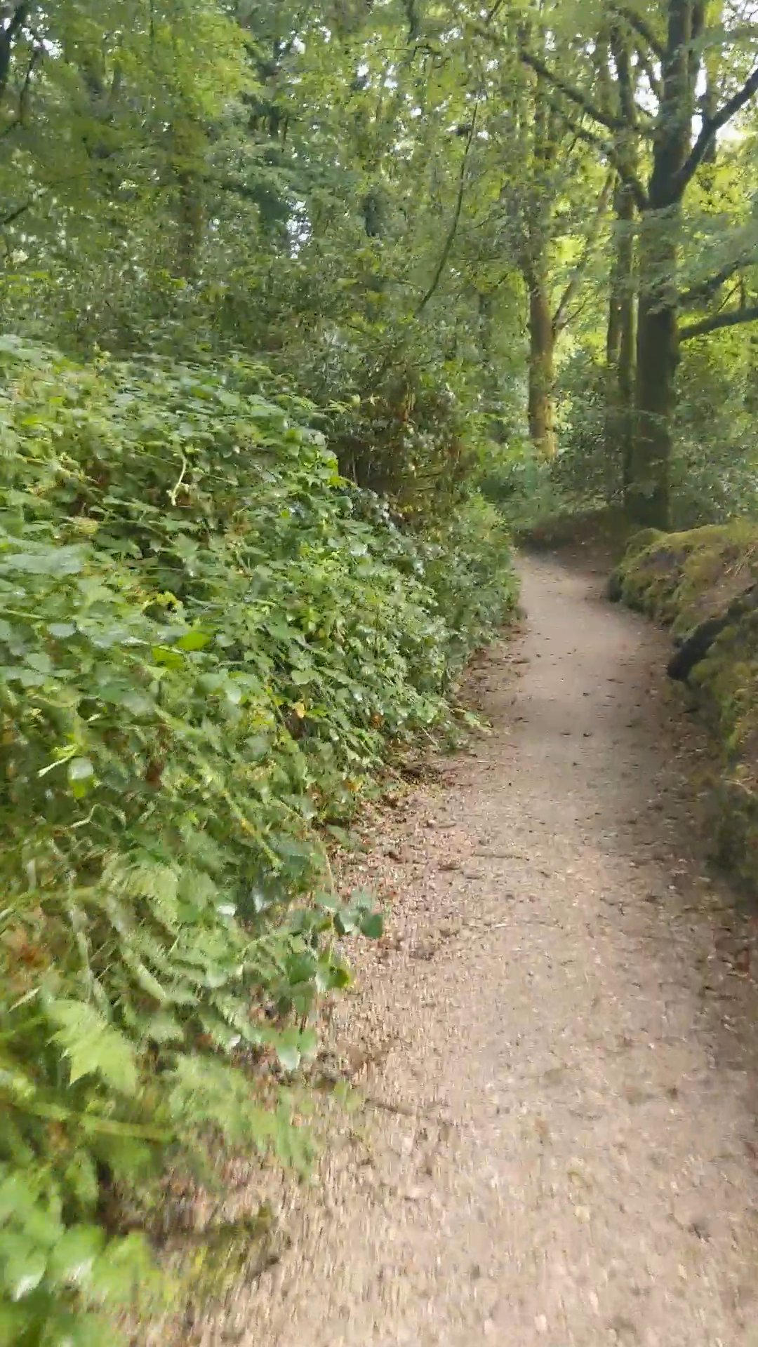 Skipton to Lands End - Day 6 photo 5