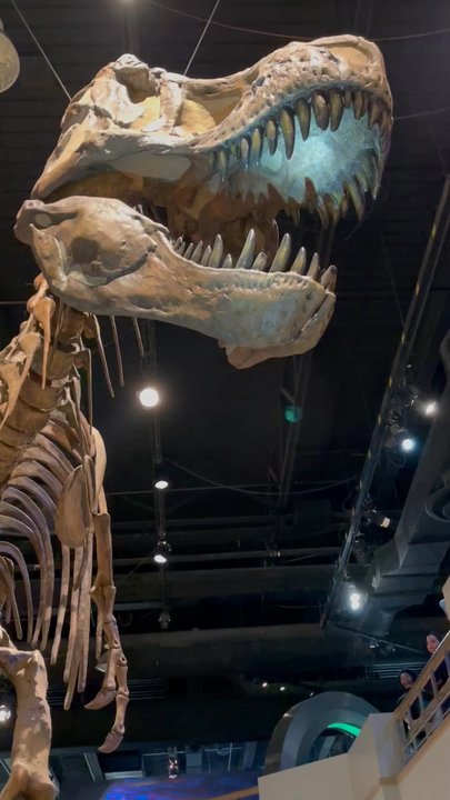 Royal Tyrrell Museum - Museums Near Me - Drumheller, Alberta