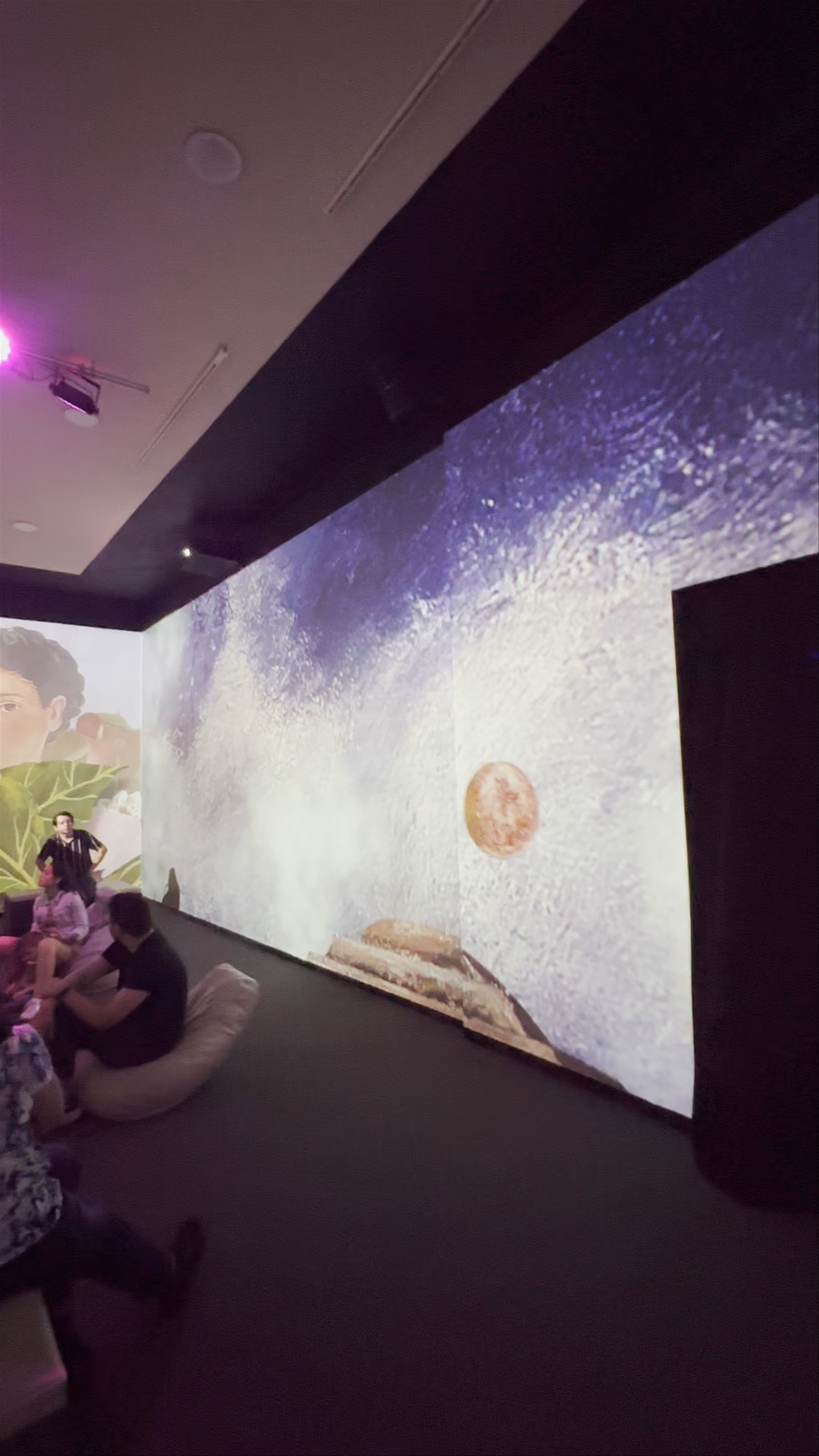 Immersive Art Experience at Museo de Arte Contemporáneo de Campeche