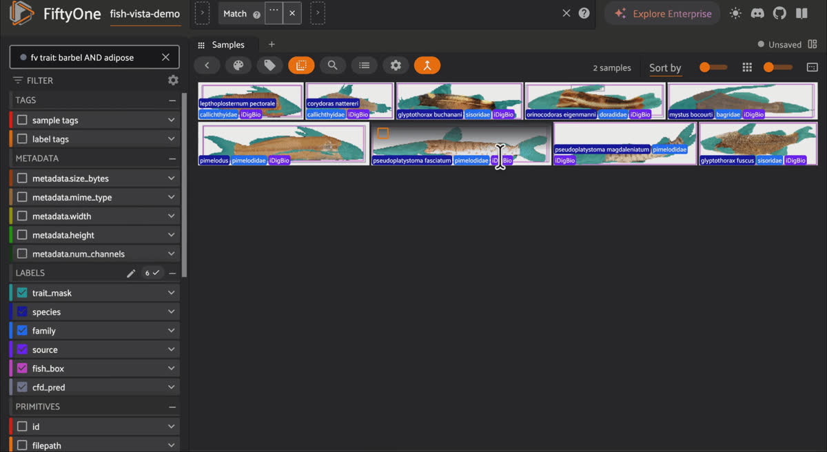 Fish-Vista specimens in FiftyOne with color-coded trait segmentation masks covering eye, head, barbel, and fins