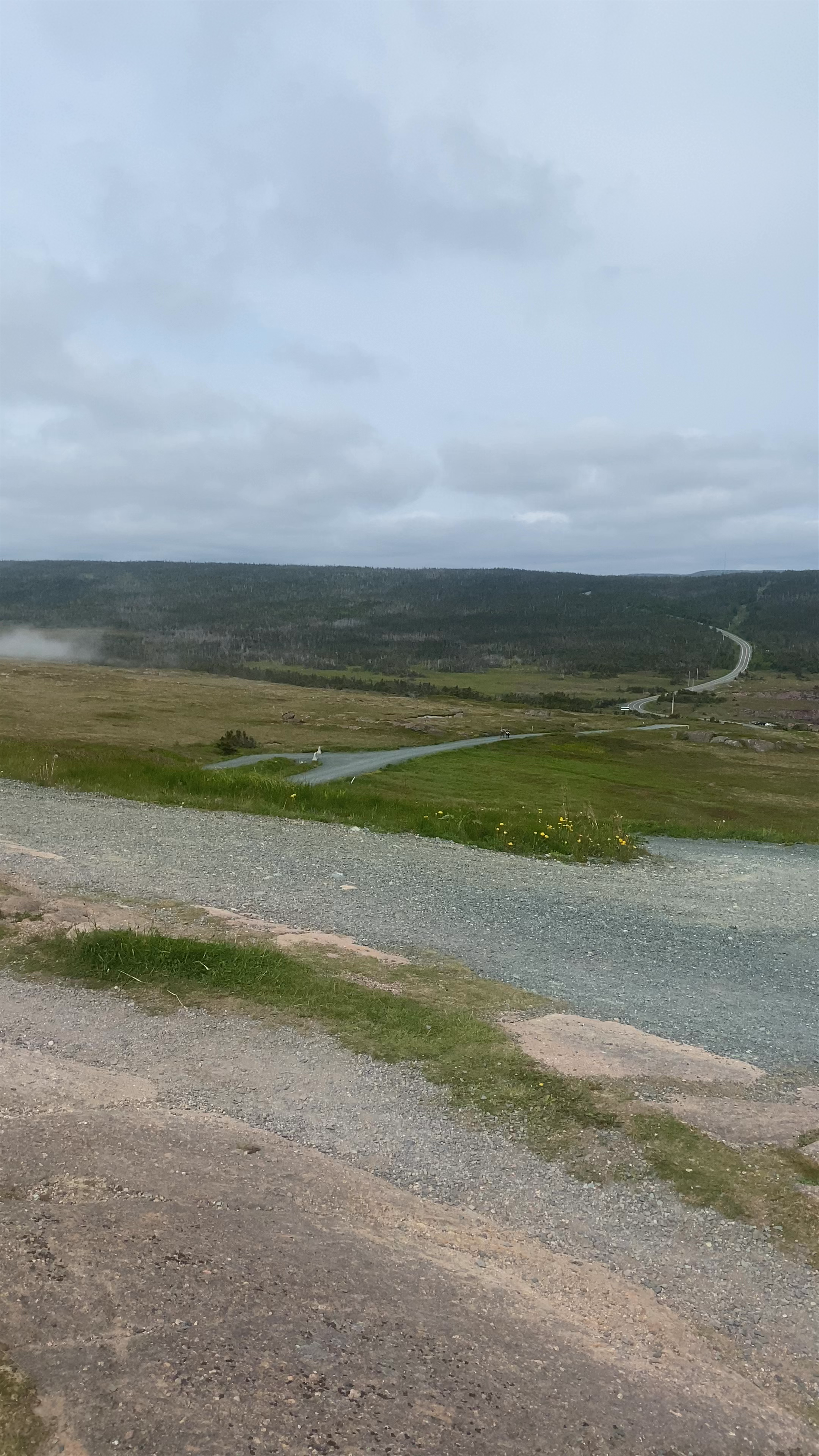 Cape Spear