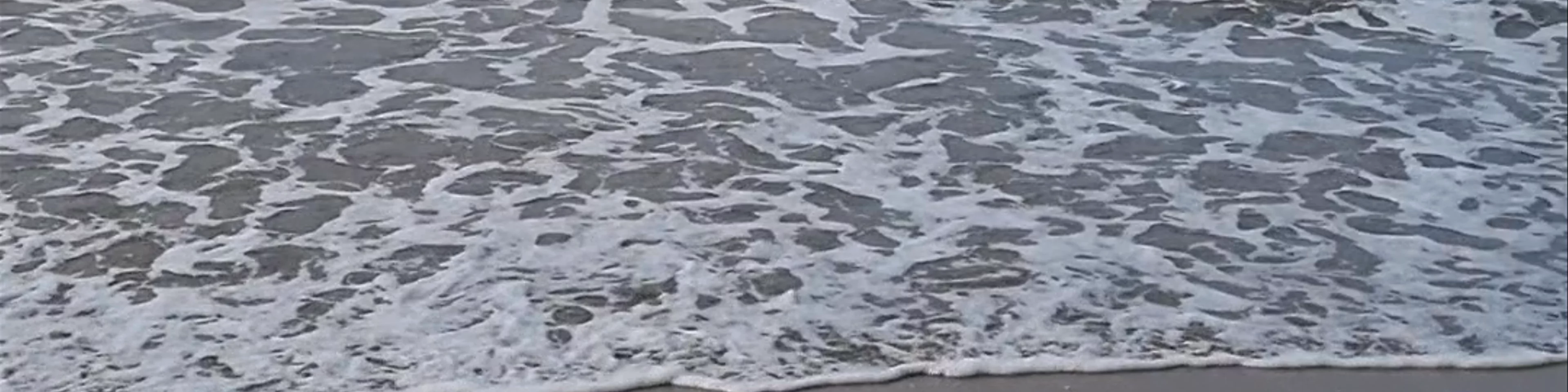 Playa Manzanillo