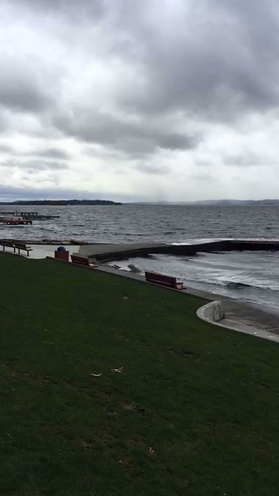 Waverly Beach Park - Parks Near Me - Kirkland, Washington