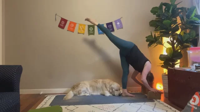 QUICK TUNE UP: Spacious & Unhurried  (30 minutes)