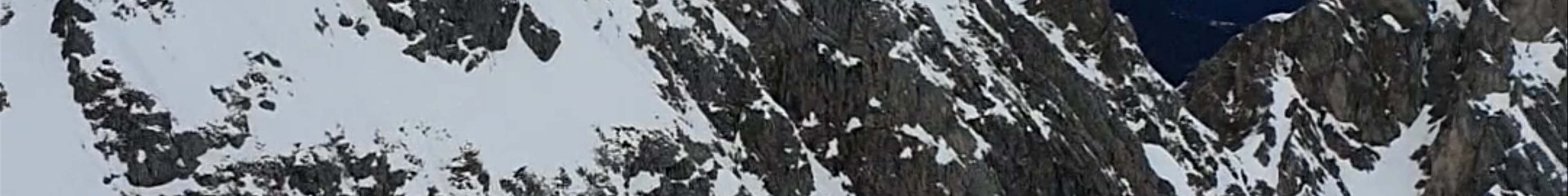 Tours & experiences in Tirol