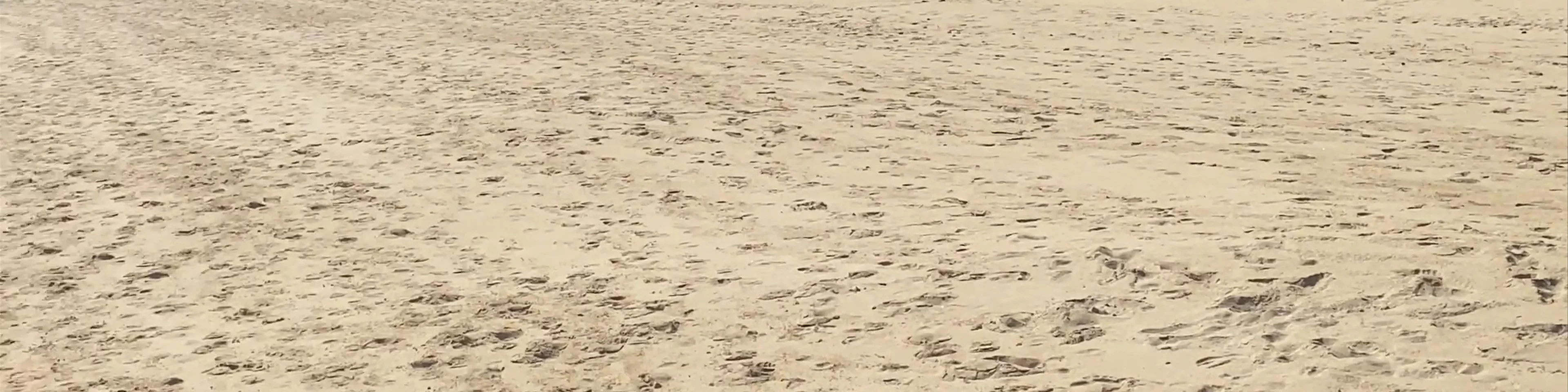 Praia do Porto de Mós