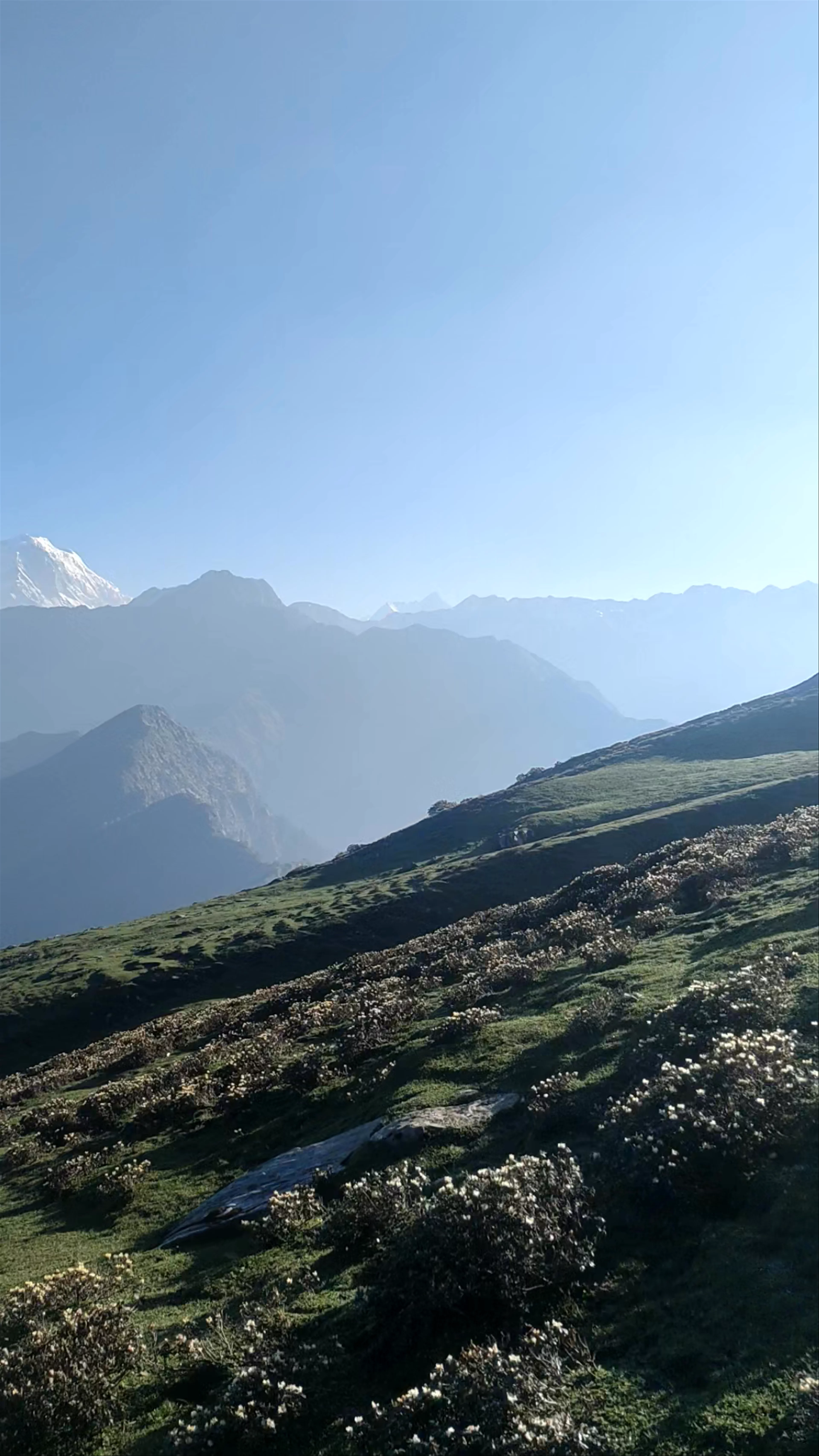 Chopta, Mini Switzerland