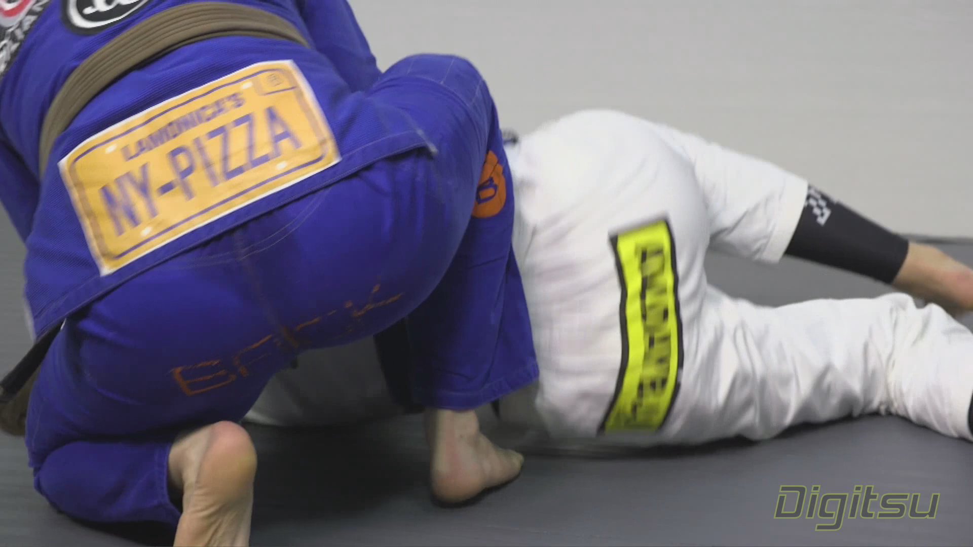Flamingo To Angry Bird Back Take