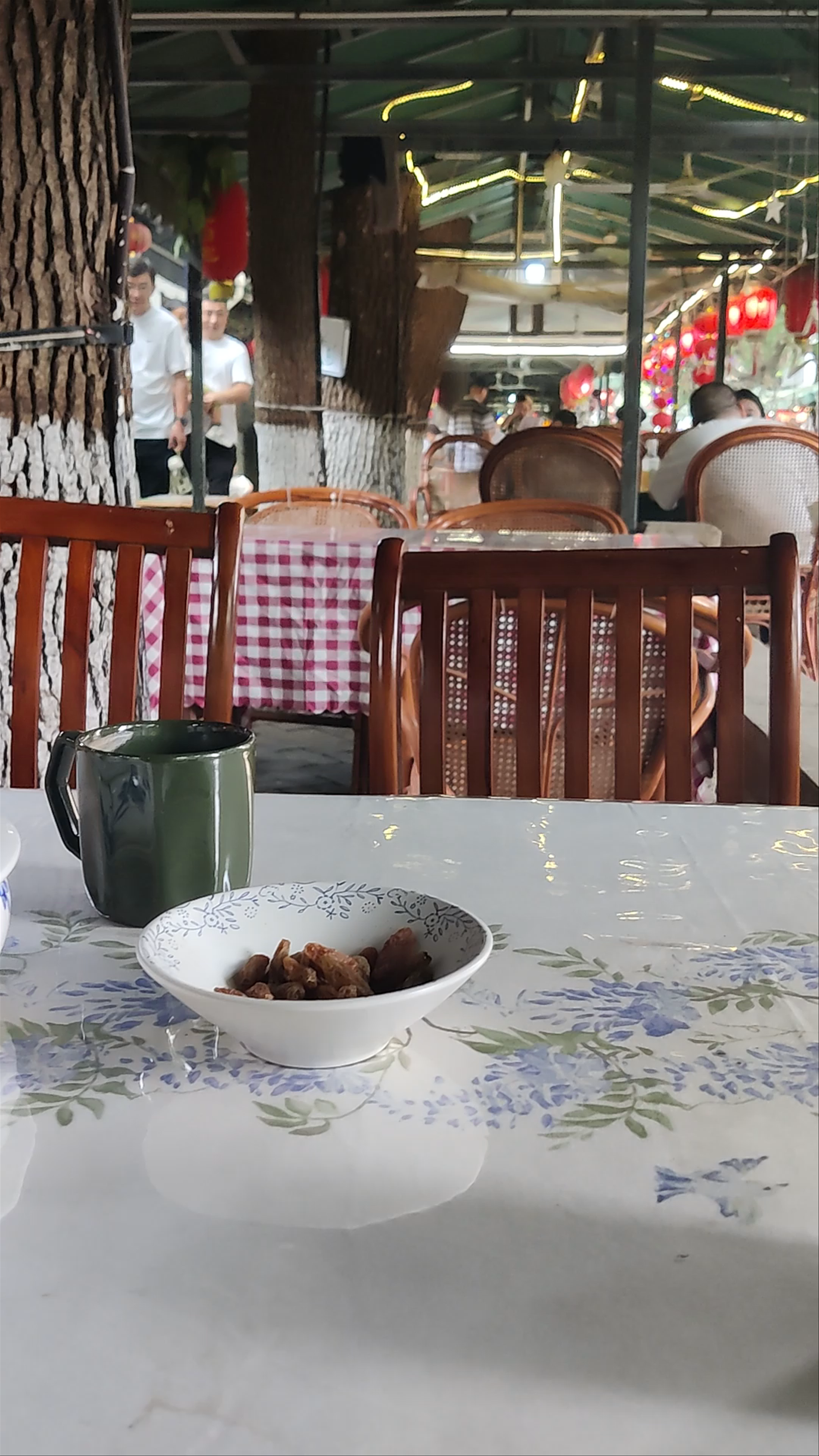 Serene Canal-side Tea House Experience in Suzhou
