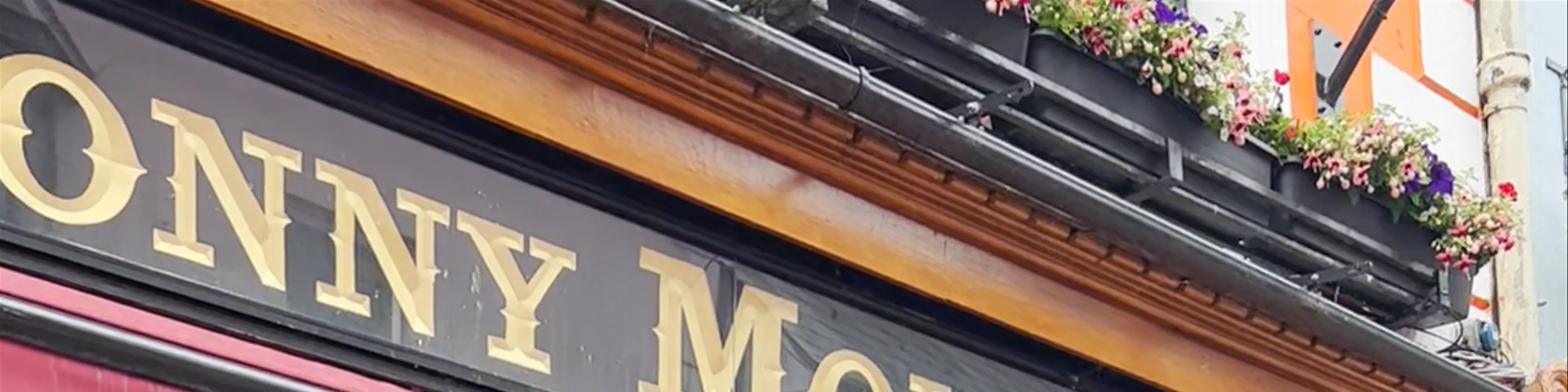 Sonny Molloy's