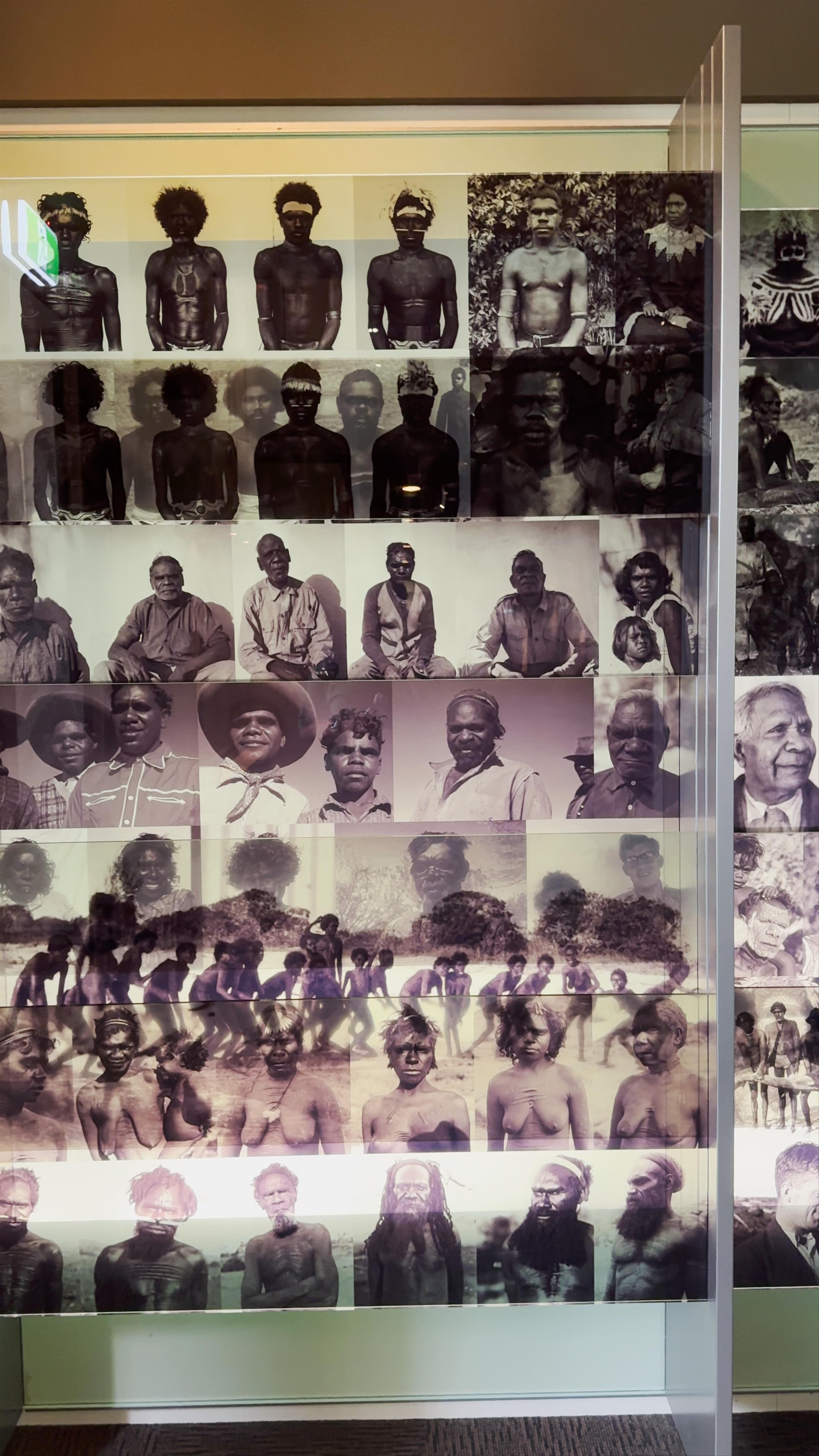 South Australian Museum