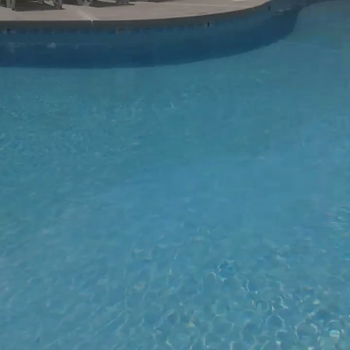 Hershey Motel - Water is Always sparkling clean......So is the pool area & the Motel - Hotels Near Me - Seaside Heights, New Jersey