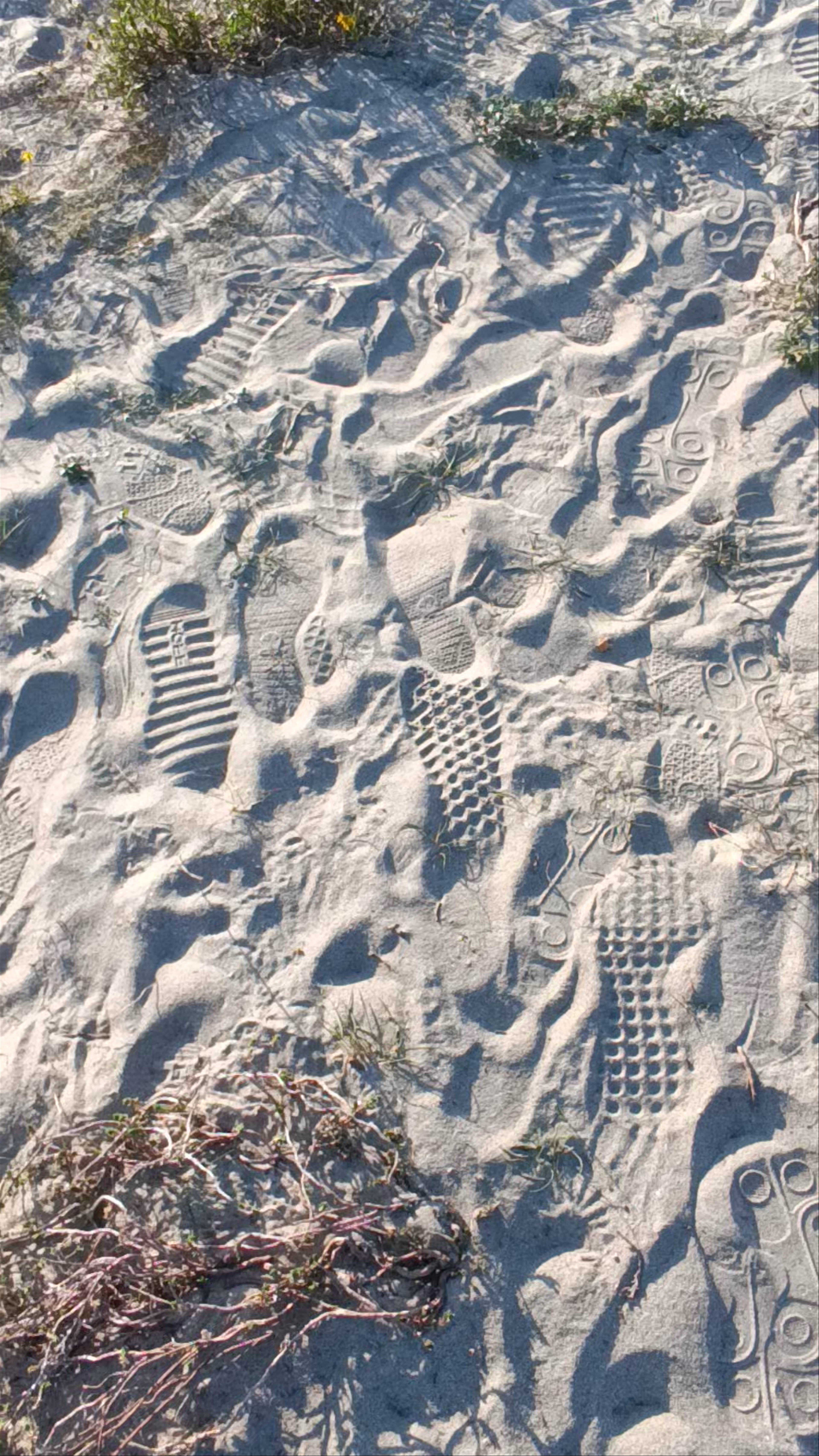 Farolim Neiva Sul D-2014.1