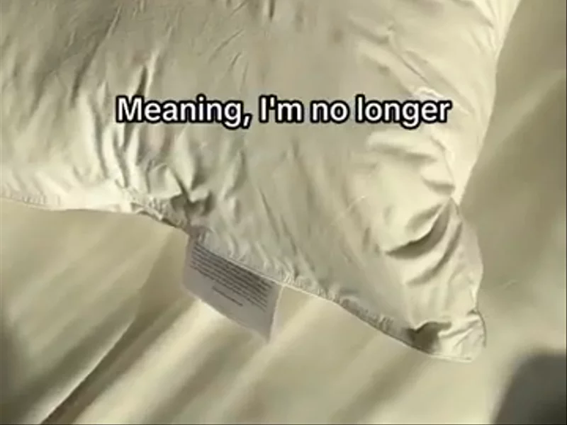 Hungarian goose down pillow: Hypoallergenic Angle (Sinus issues aggravated by dust mites)