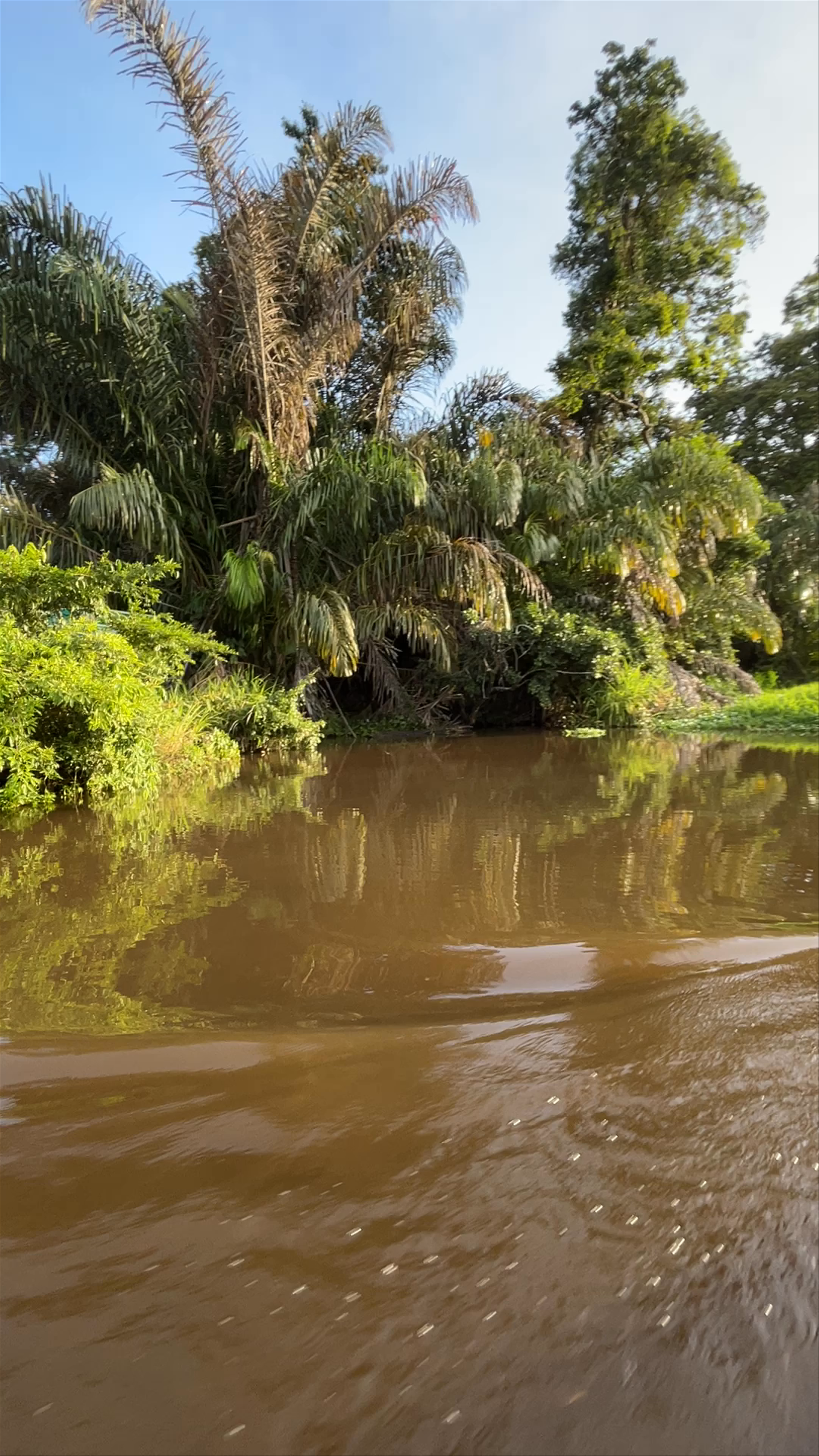 Tortuguero National Park