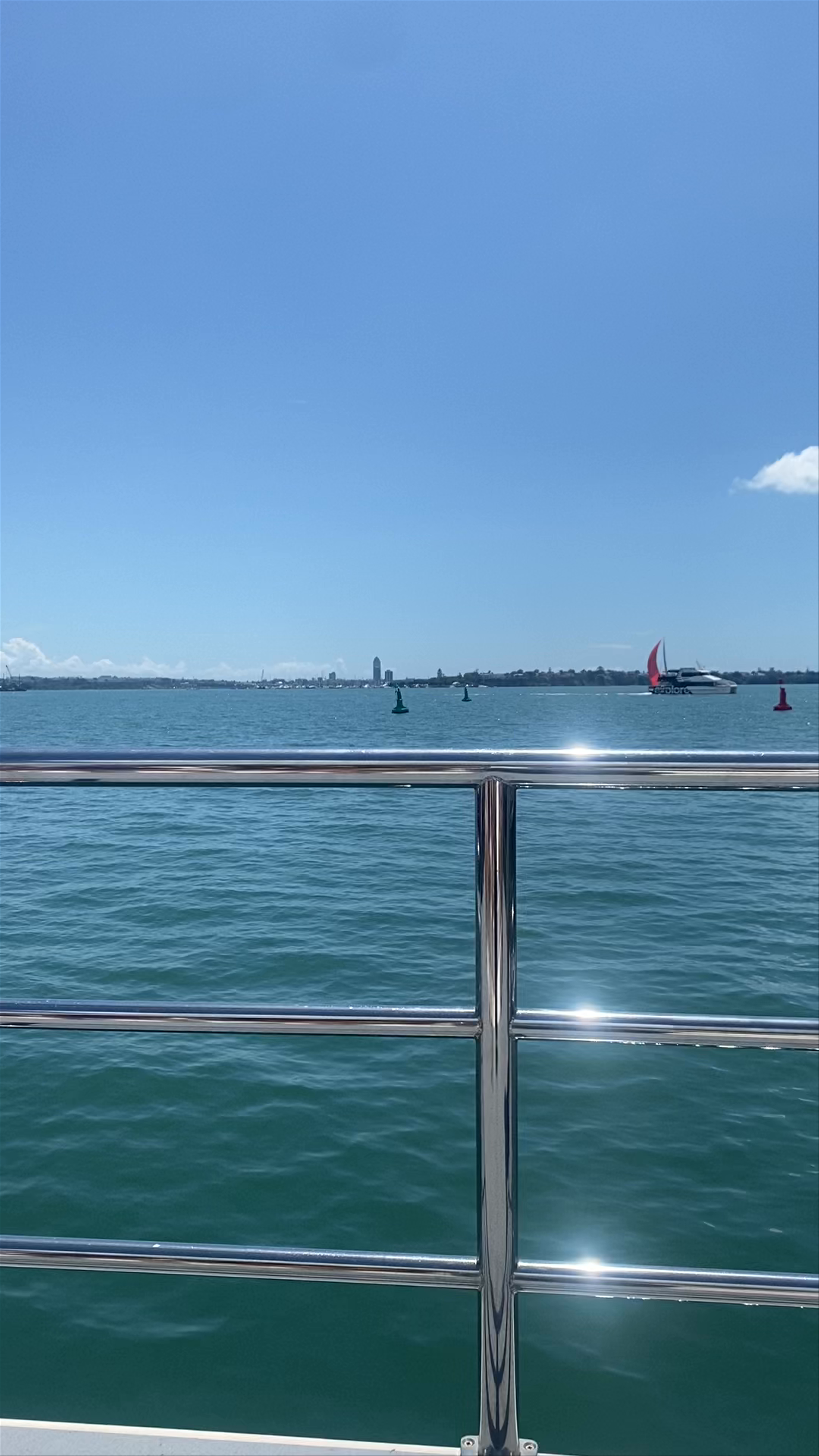 Auckland Whale & Dolphin Safari