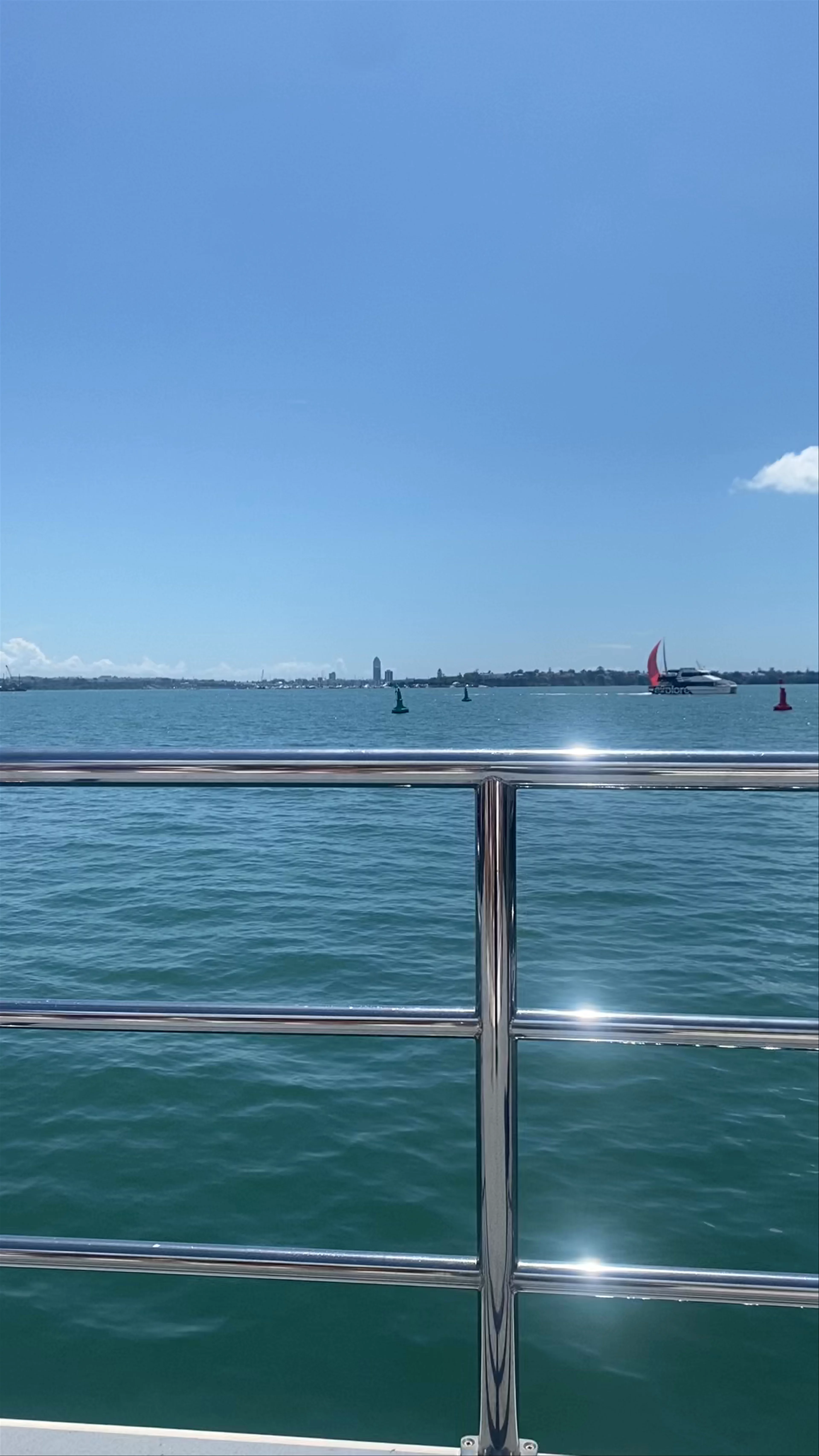 Auckland Whale & Dolphin Safari