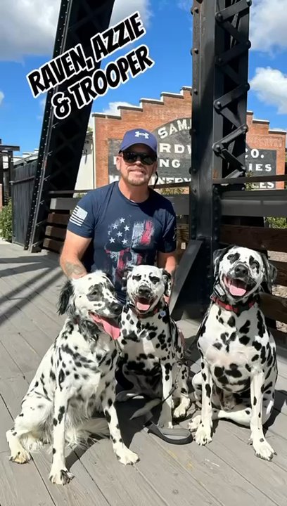 Off leash K9 Training - Prescott - Pet Training Near Me