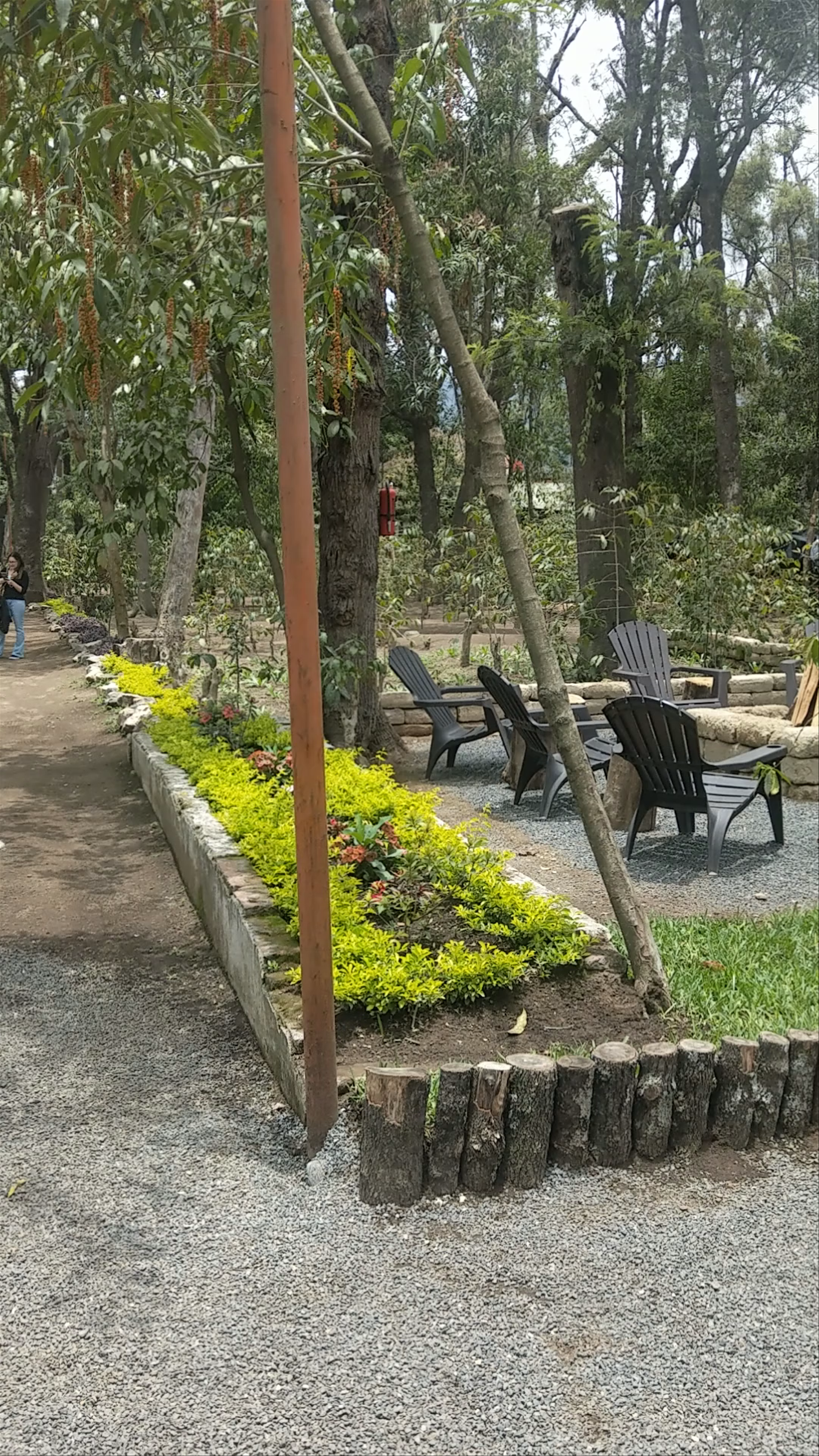 Antigua Cerveza :: El Bosque