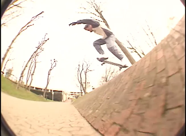 PALACE DETROIT TIGERS | PALACE SKATEBOARDS