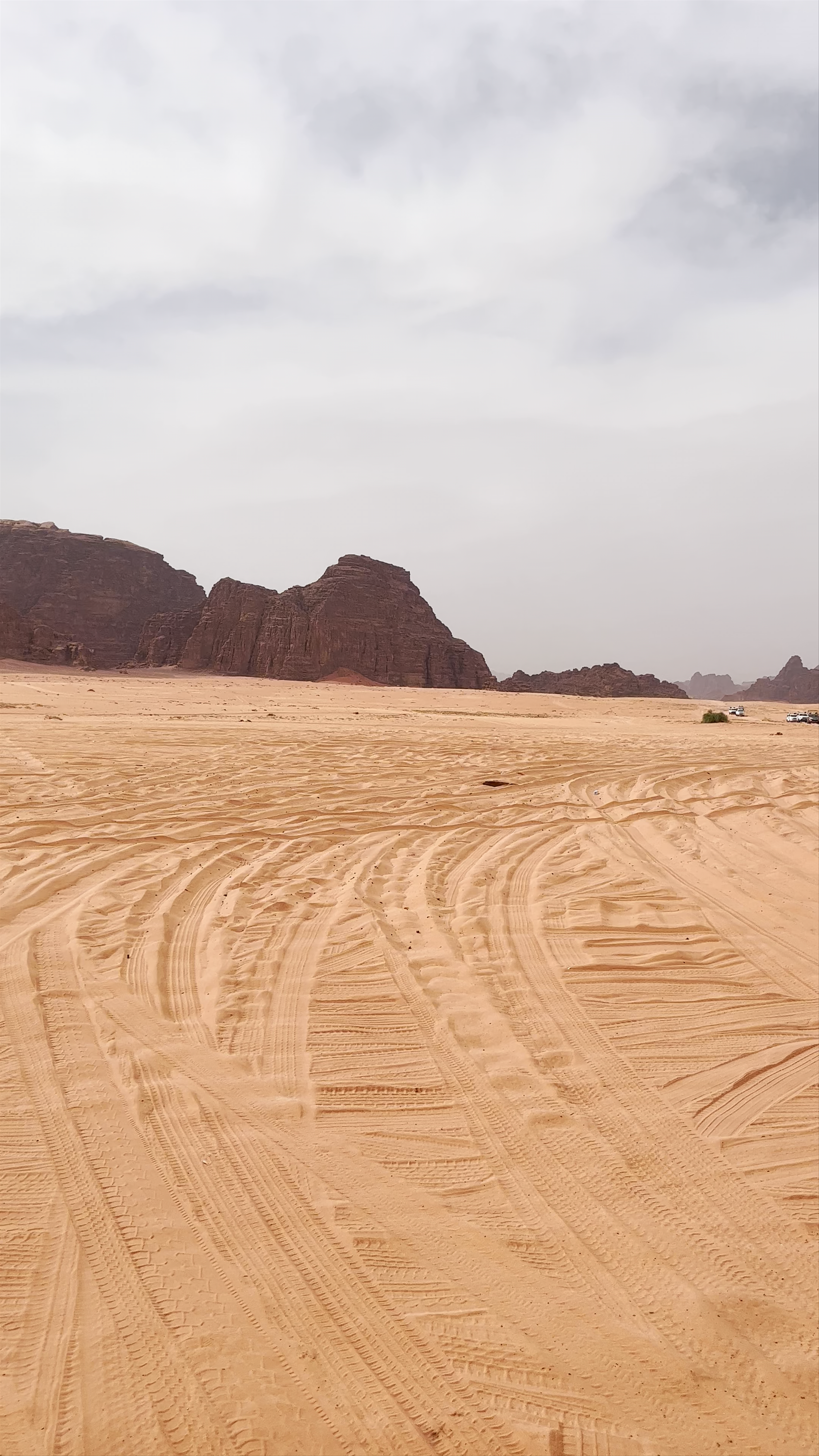Wadi Rum Desert، Wadi Rum Village