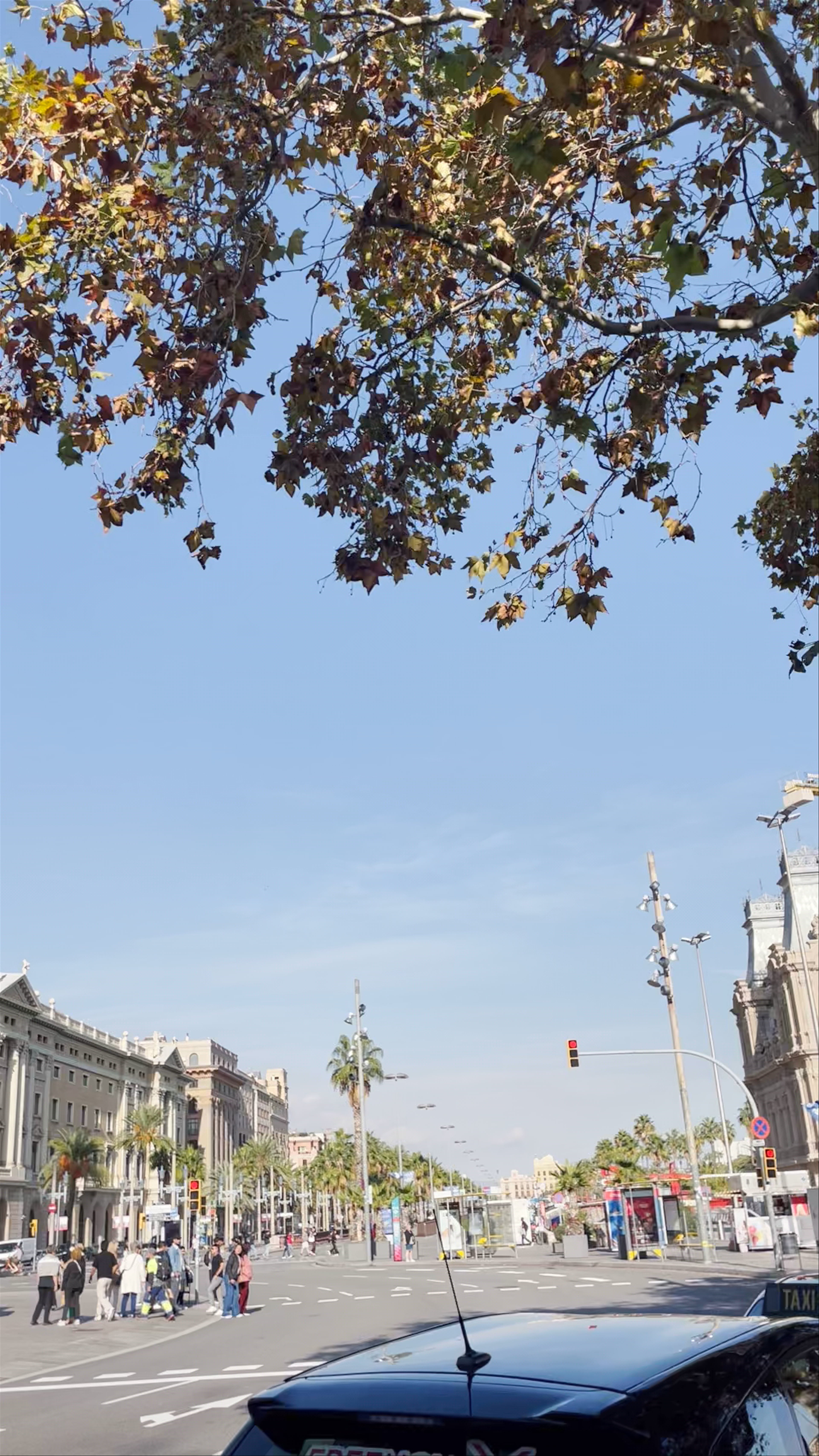 Estatua de Colón
