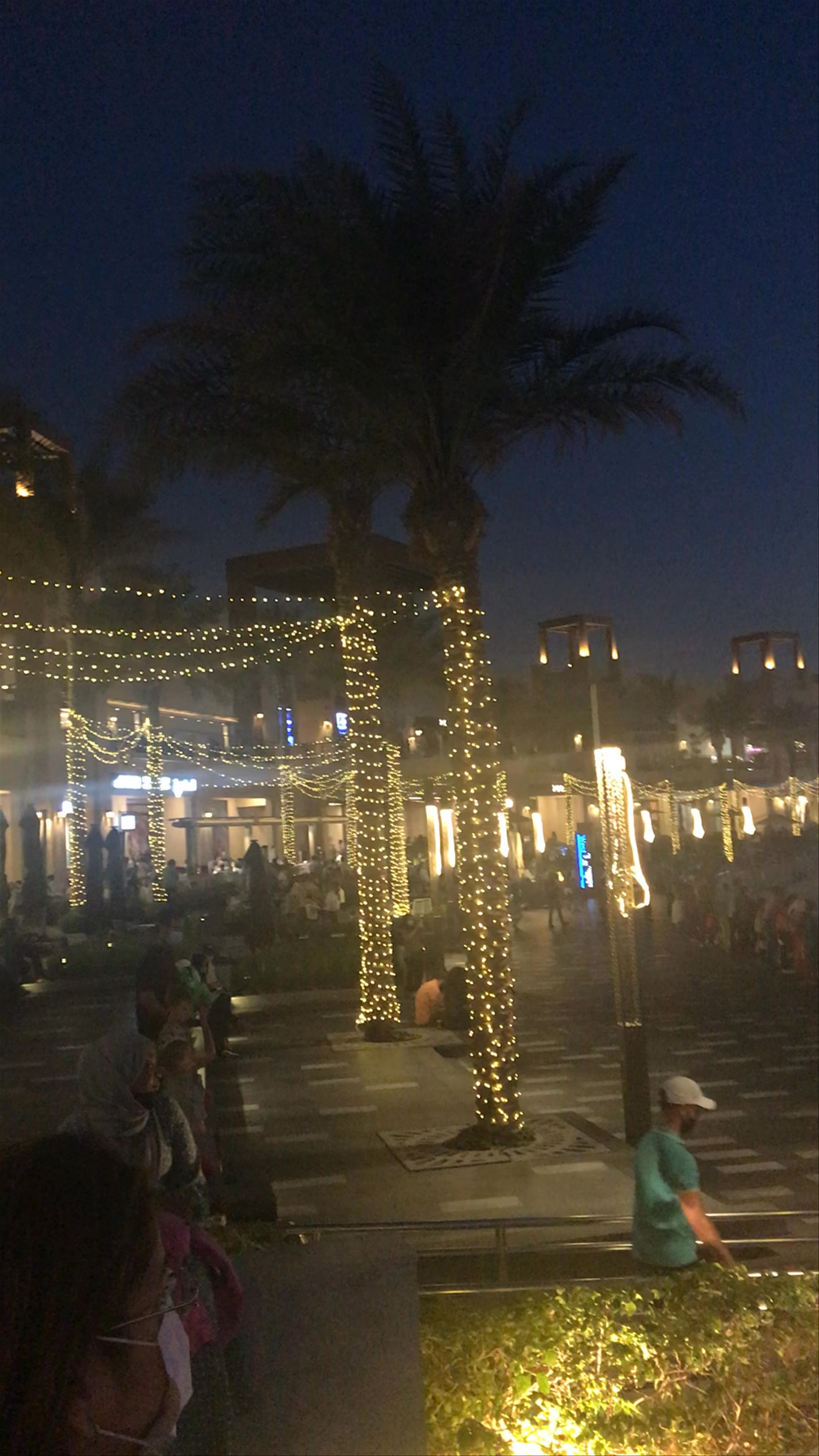 The Palm Fountain at Frond H - Dubai Evening Magic