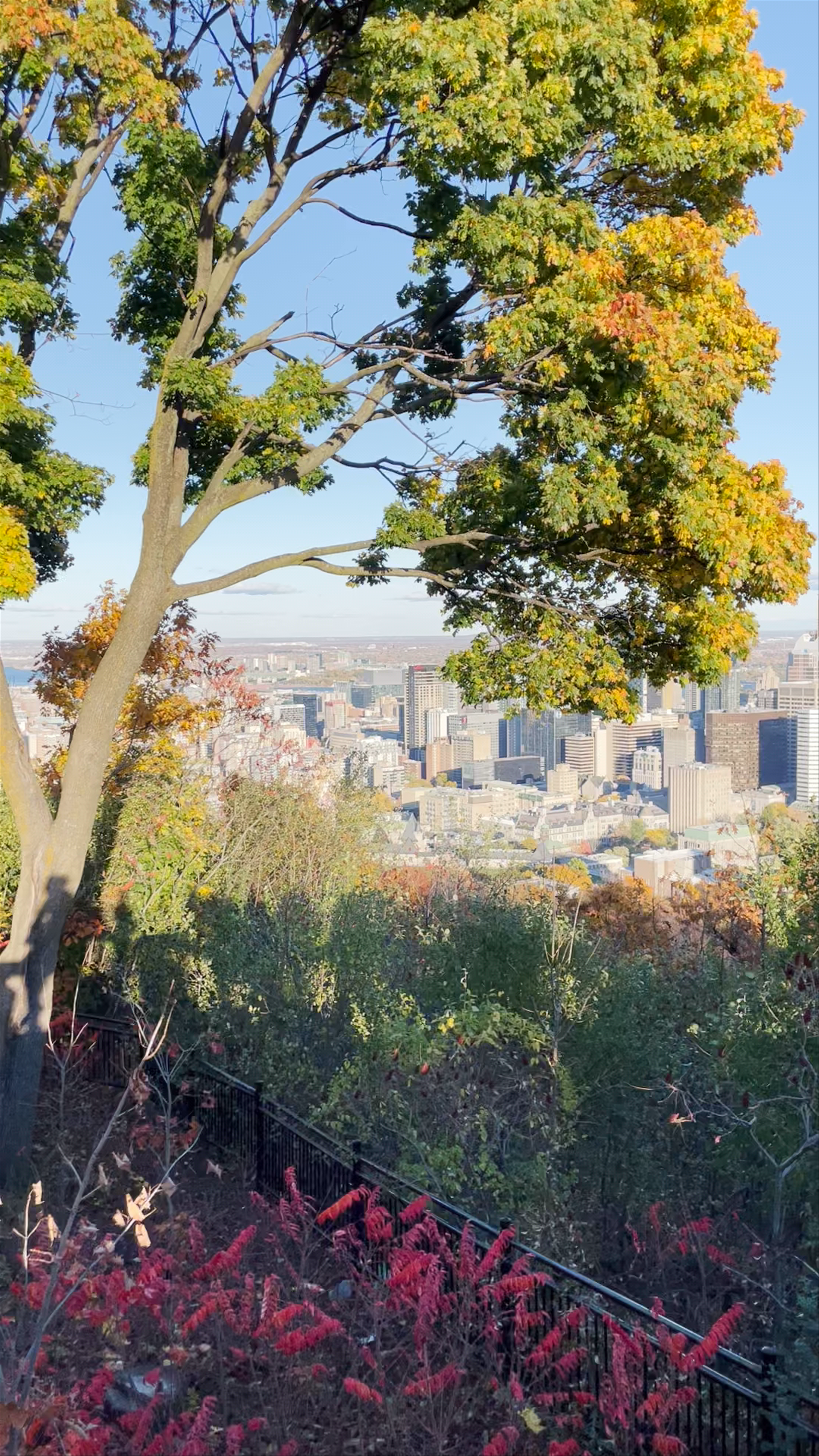 Kondiaronk Belvedere