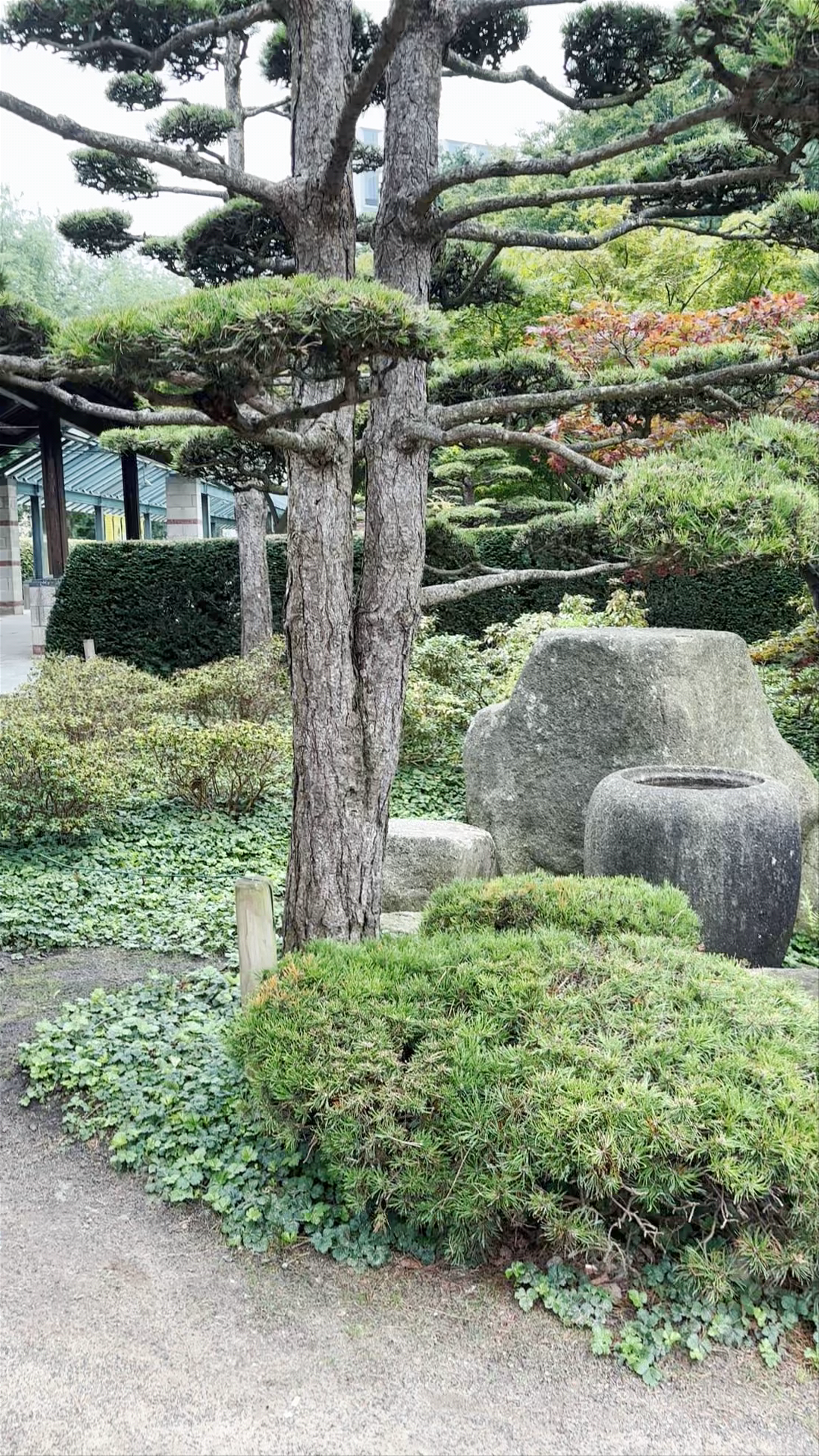 Tranquil Escape in Hamburg's Japanese Garden