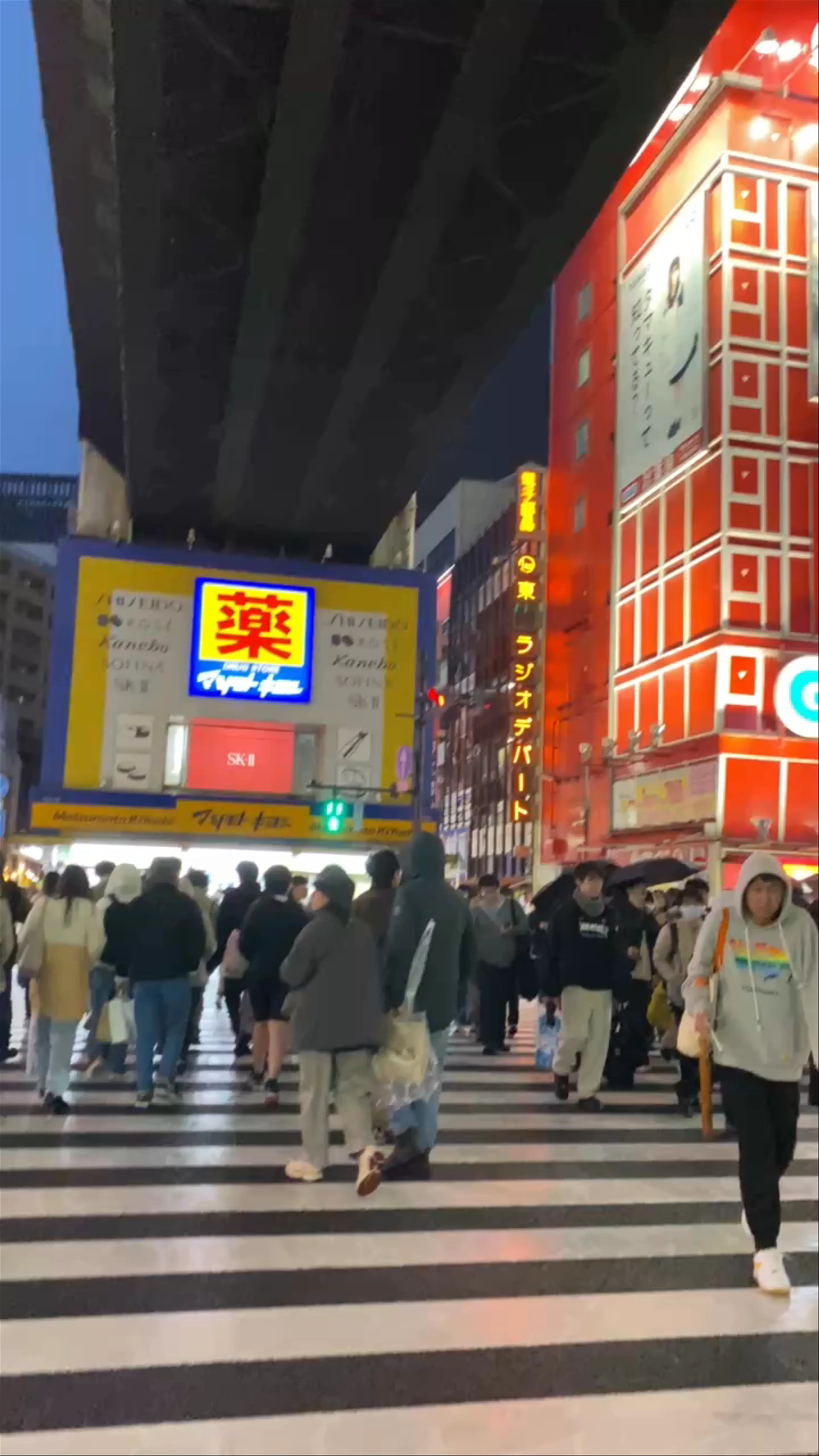 Akihabara Station