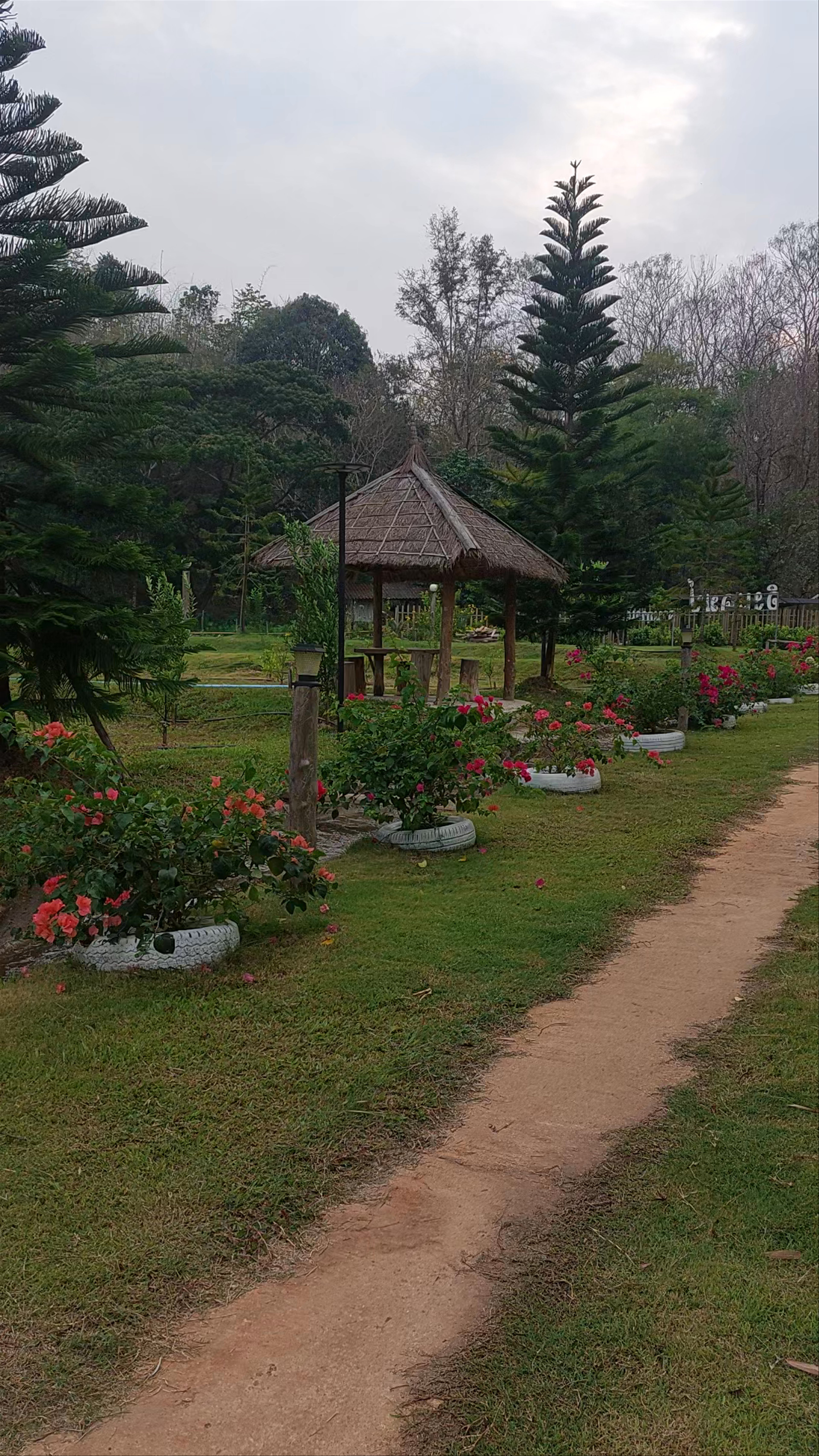 แก้วมา Farm Stay แจ้ห่ม Road Mueang Pan