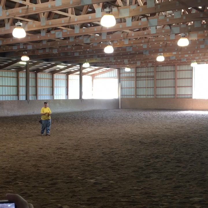 Longmeadow Rescue Ranch - Training - Ranches Near Me - Union, Missouri