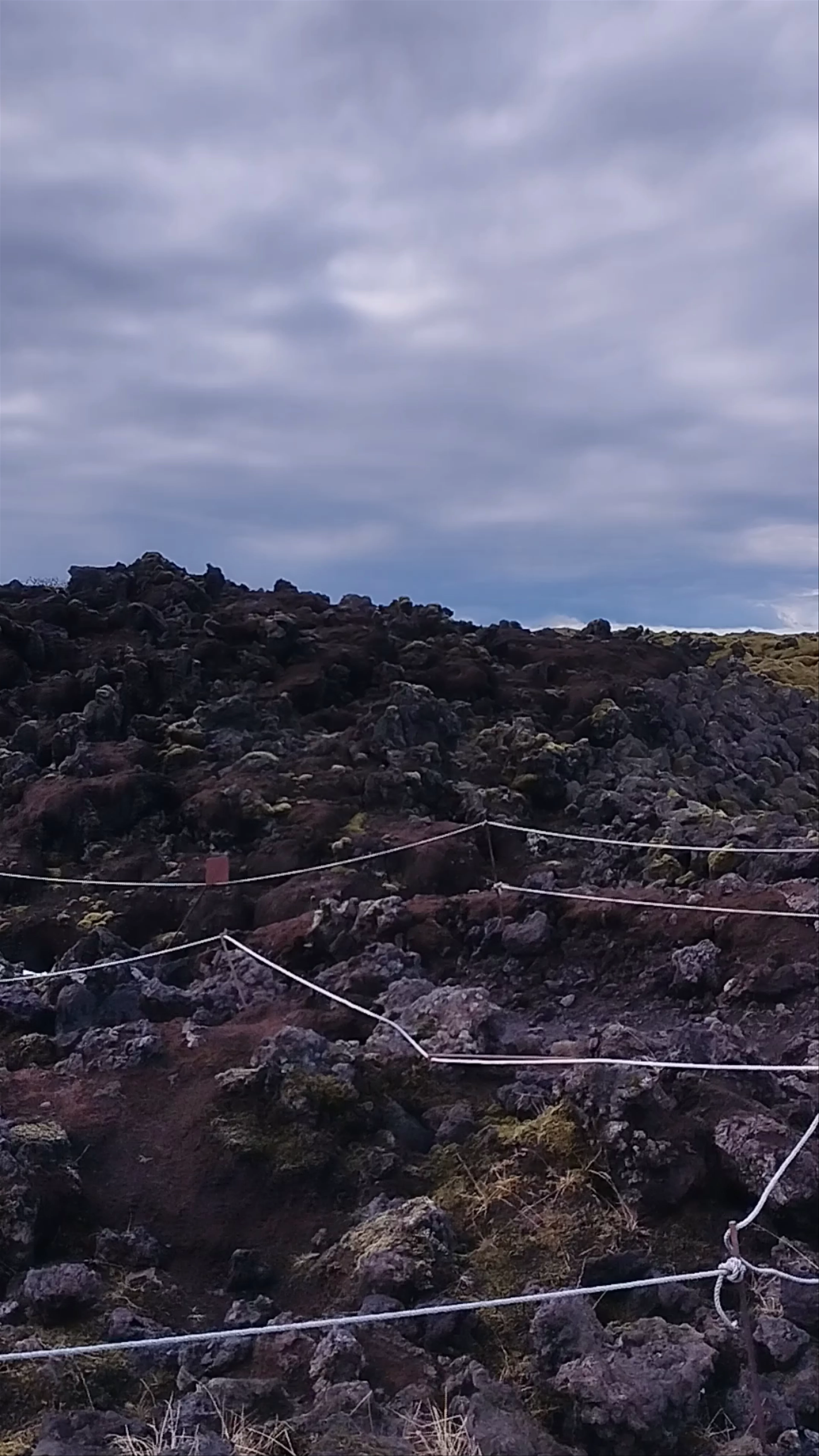Eldhraun Lava Field Walk
