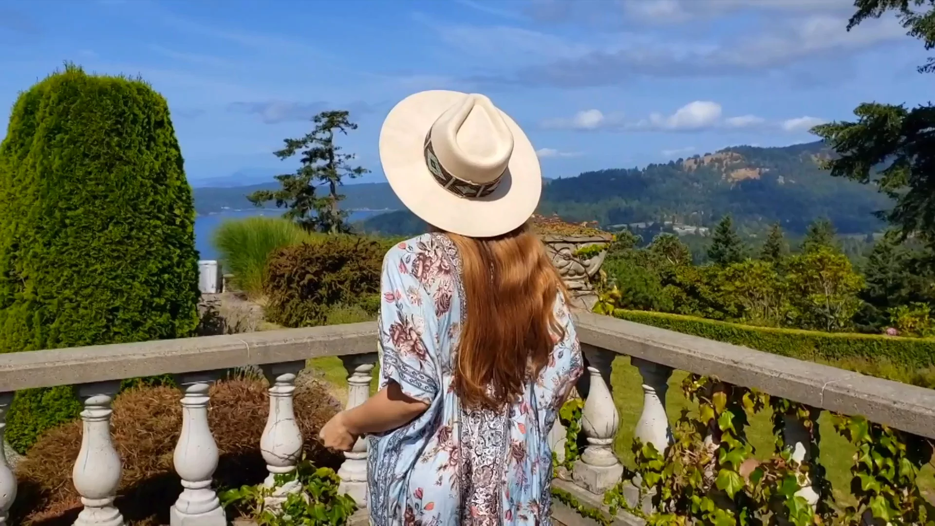 Preview image for video