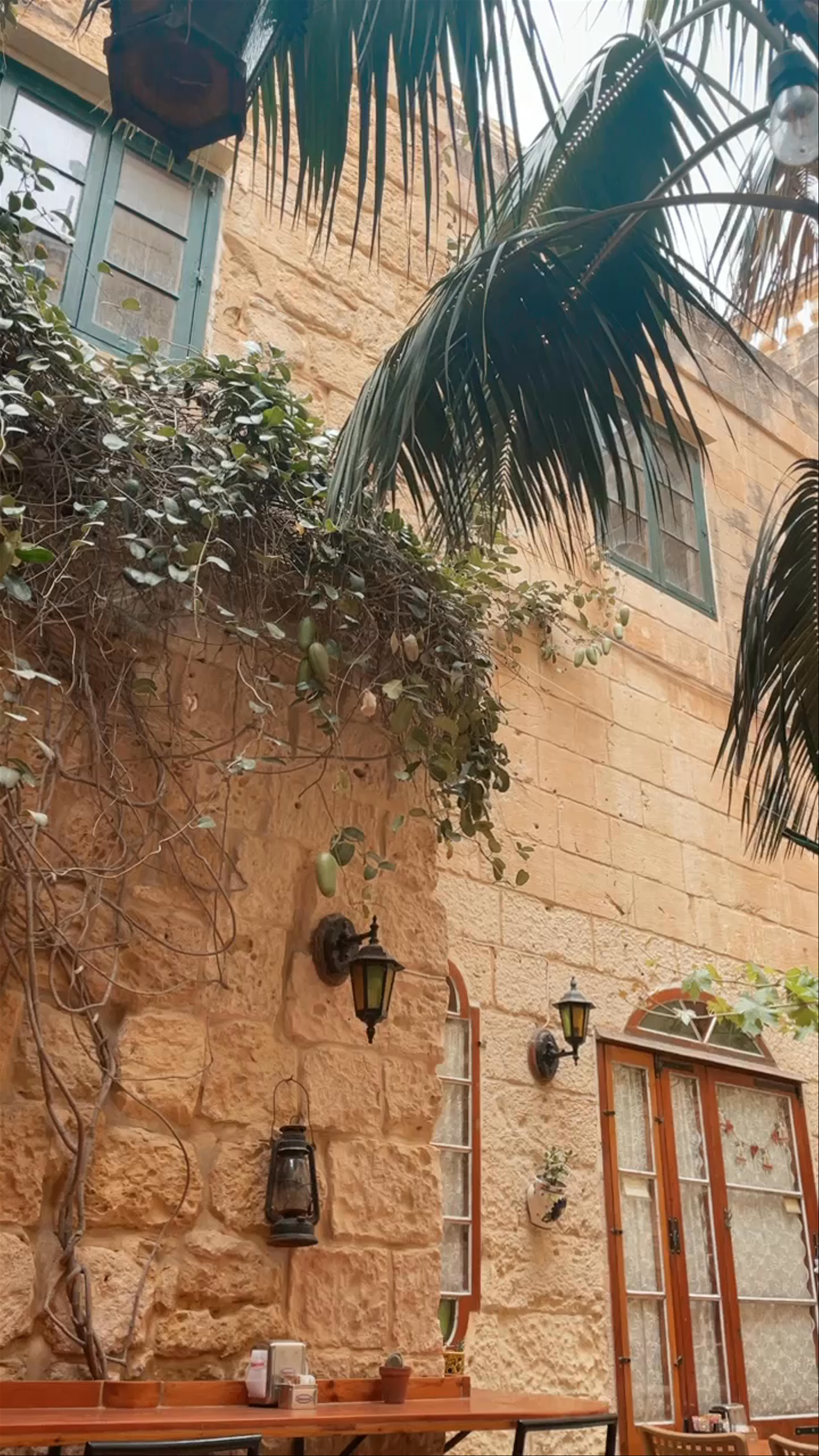 Coogi's Restaurant & Tea Garden