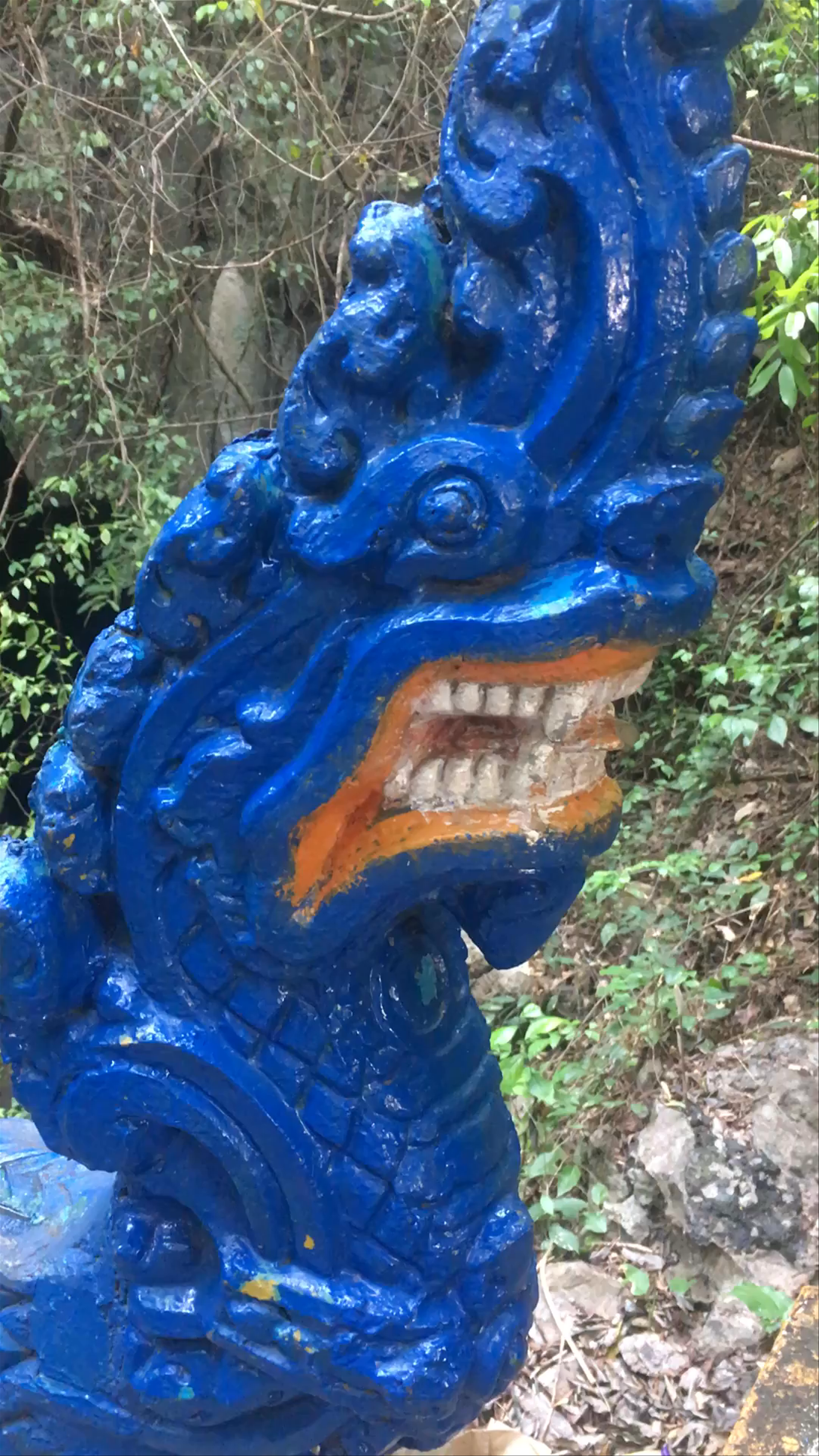 The Killing Cave: Mystical and Historic Journey in Cambodia