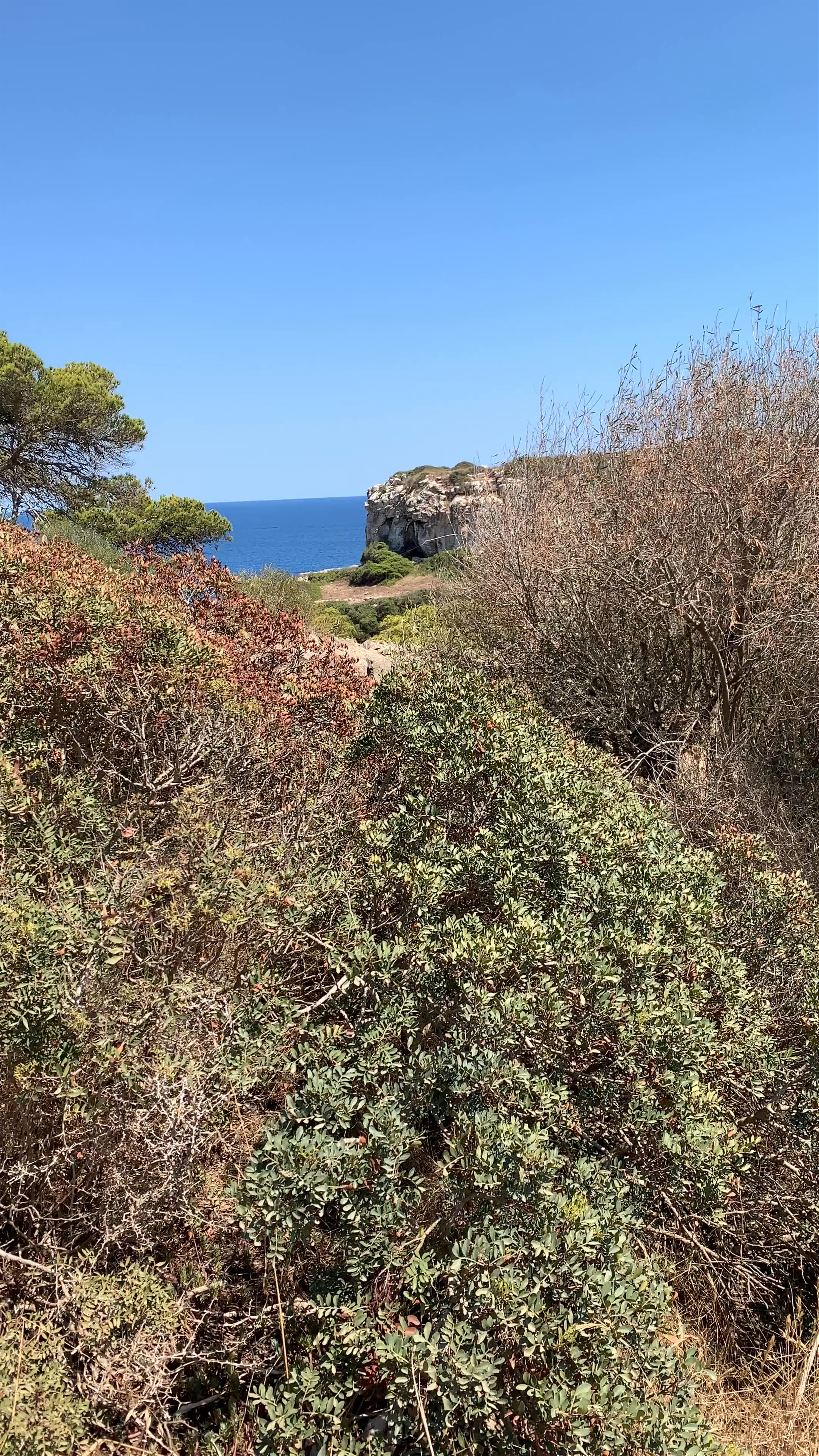 Caló des Moro