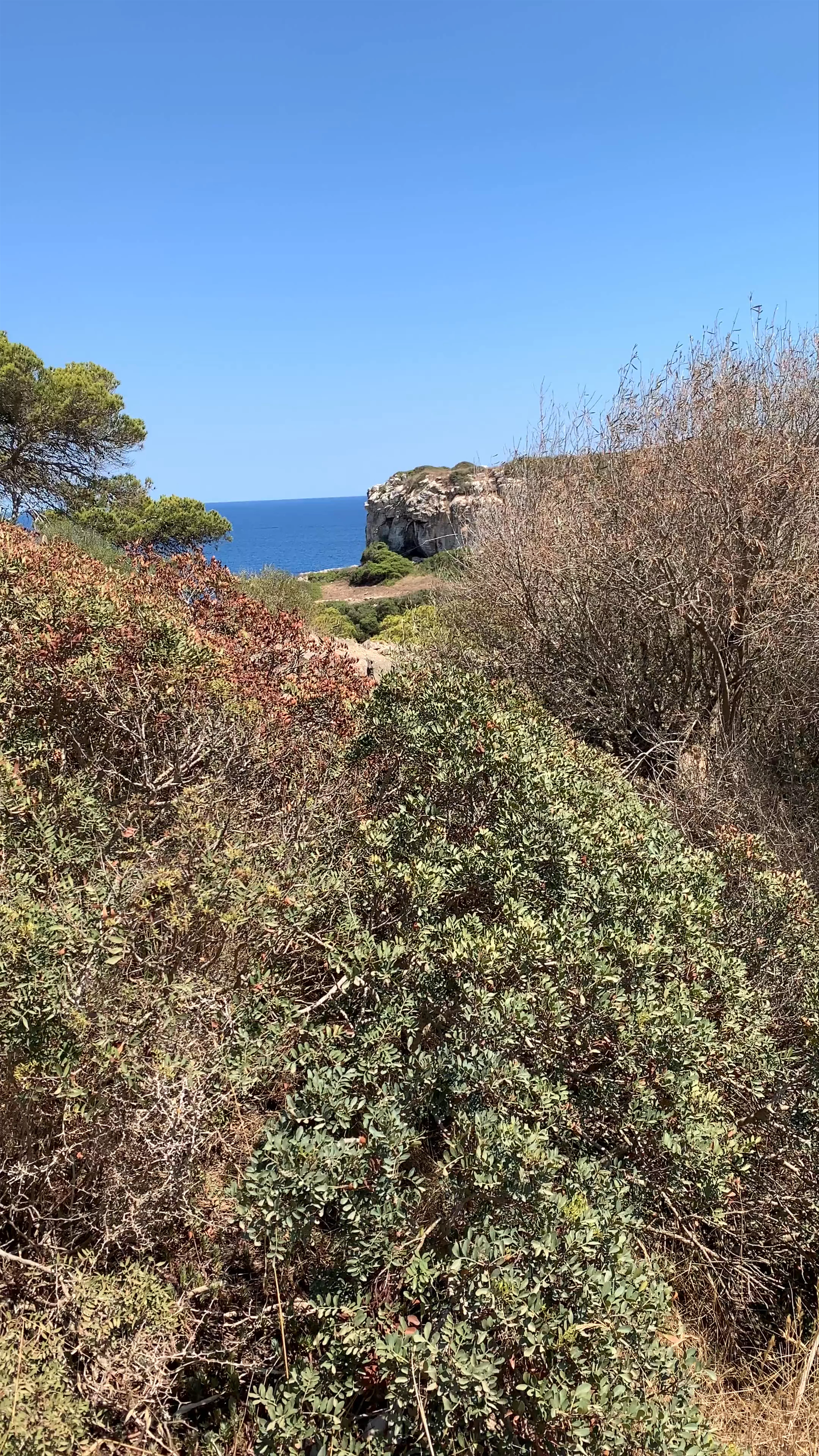 Caló des Moro