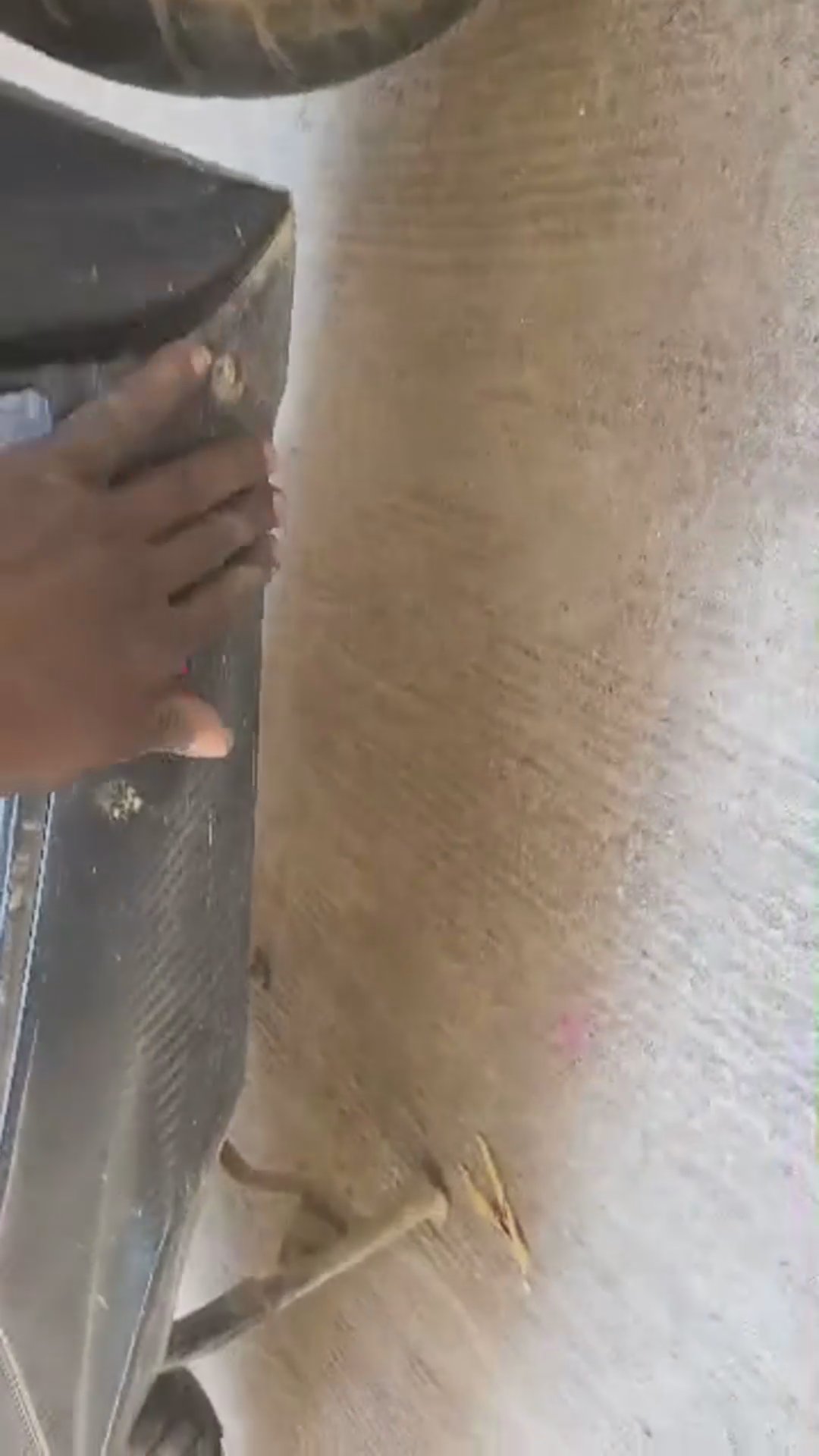 Walk-around video thumbnail