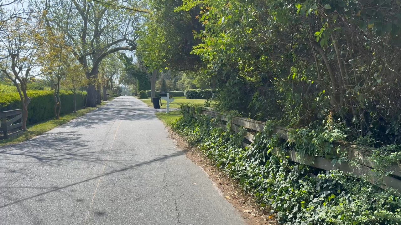 Mother Vine - Omg coolest thing ever! What a surprise! - Landmarks & Historical Buildings Near Me - Manteo, North Carolina