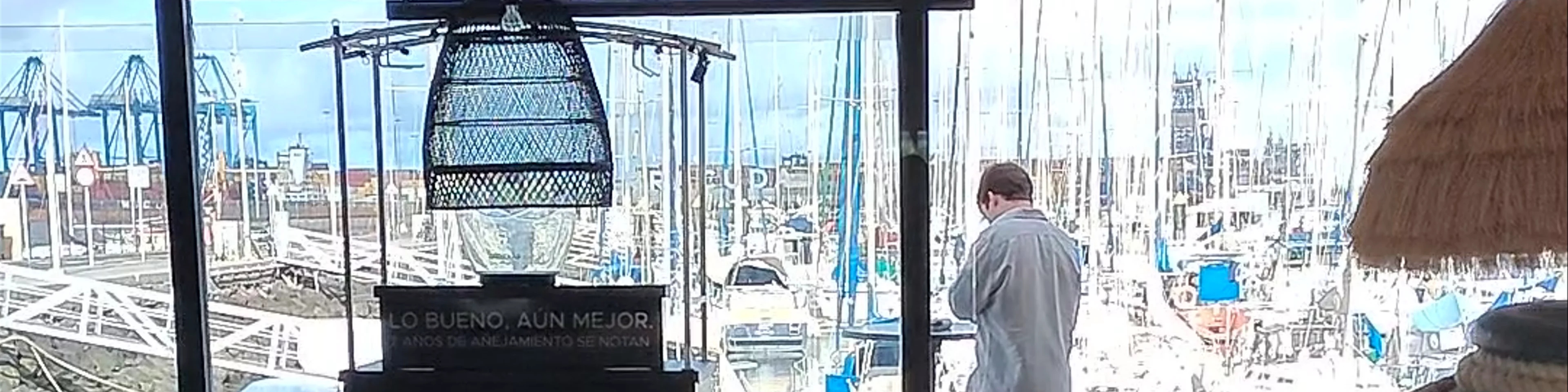 Barracuda Las Palmas