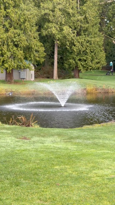 Bellevue Golf Course - Hope 15 - IG: @nelson_eats - Golf Near Me - Bellevue, Washington