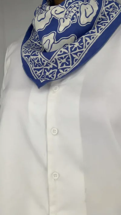 Preview image for video