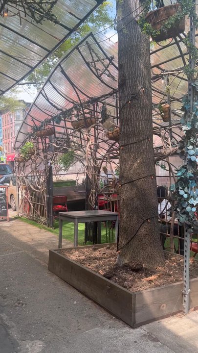 Chez Oskar - Beautiful, is an understatement! - French Near Me - Brooklyn, New York
