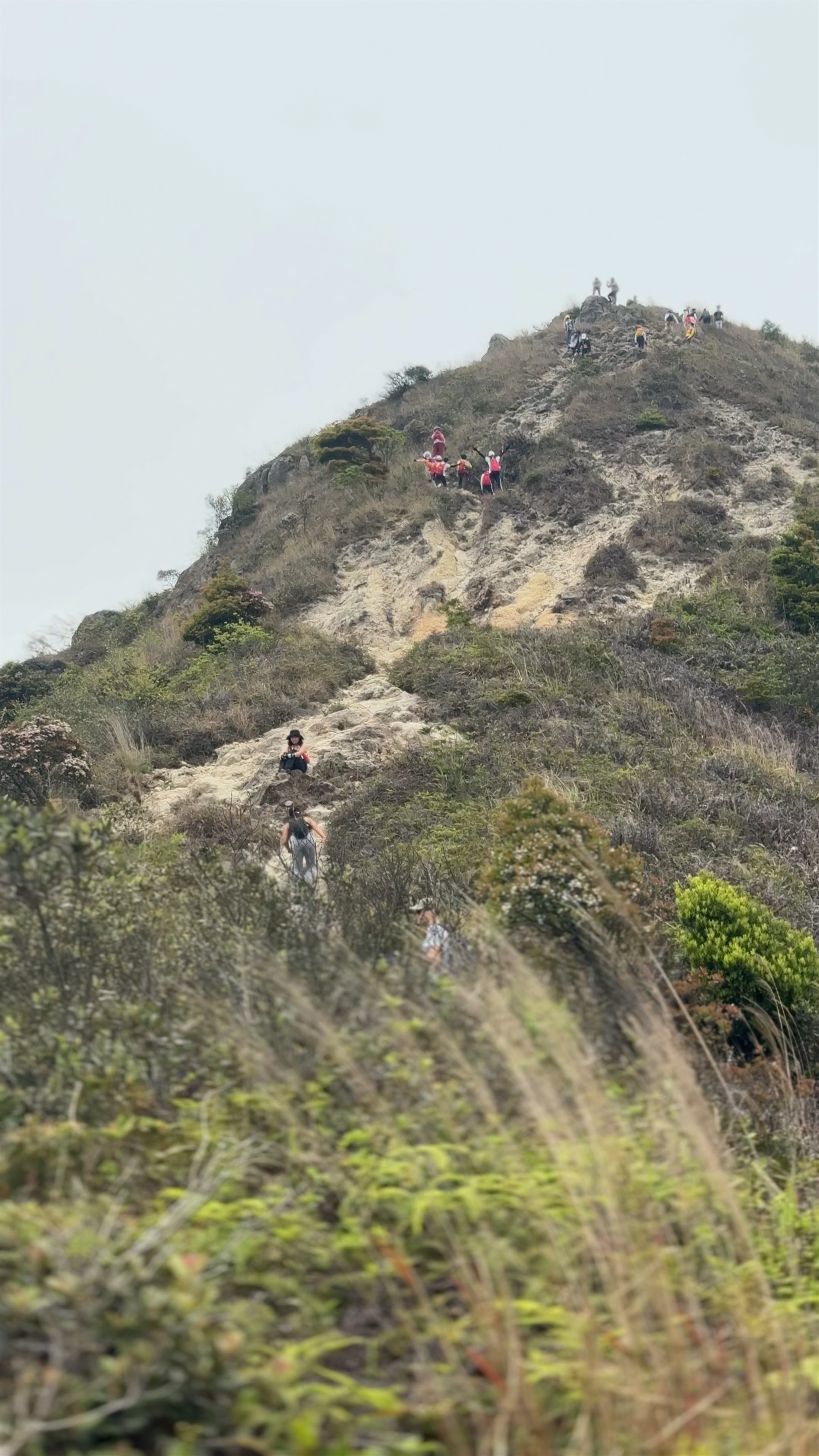 Sharp Peak