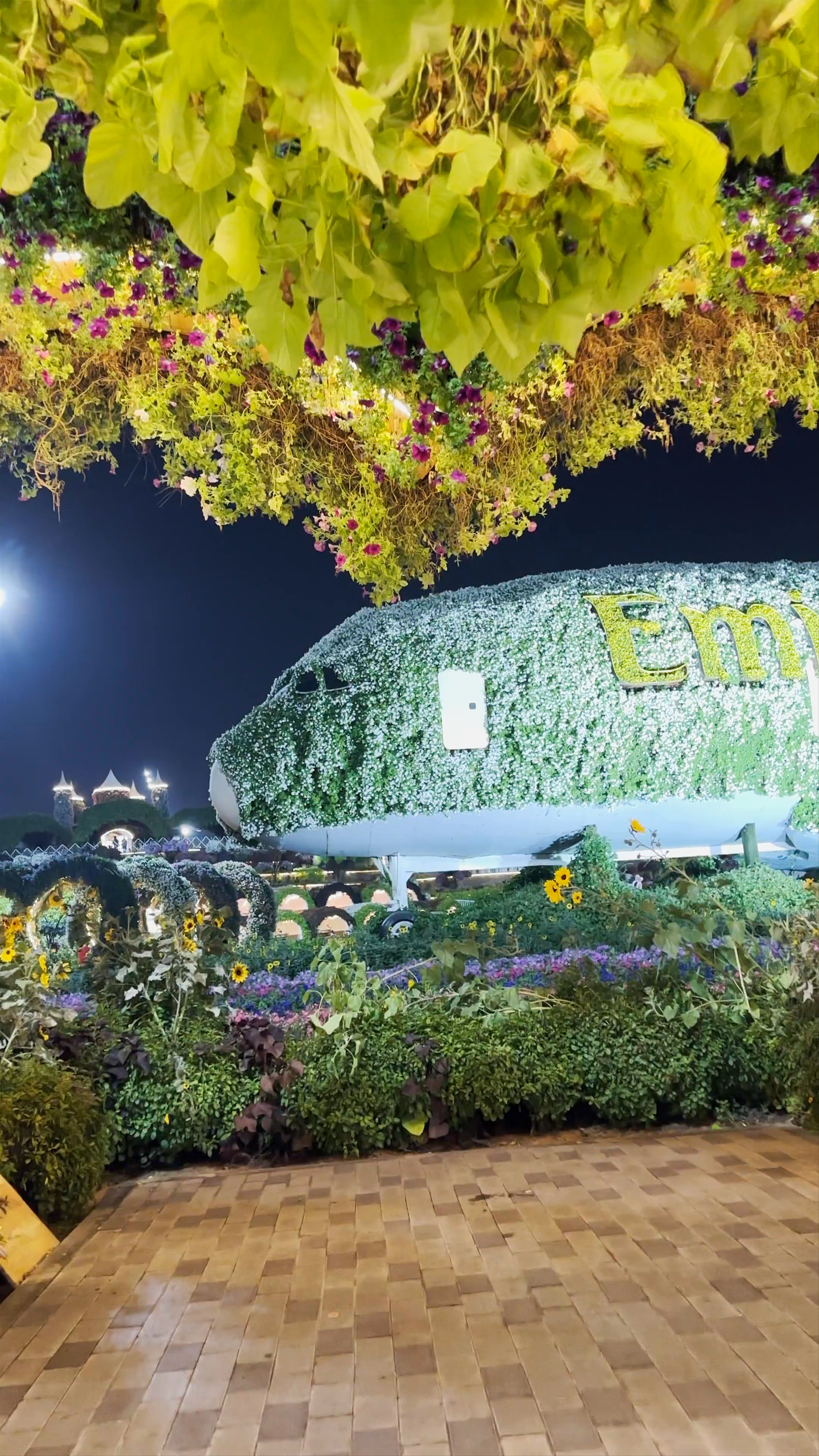 Miracle Garden Airplane Flowers - Dubai Floral Wonder at Night