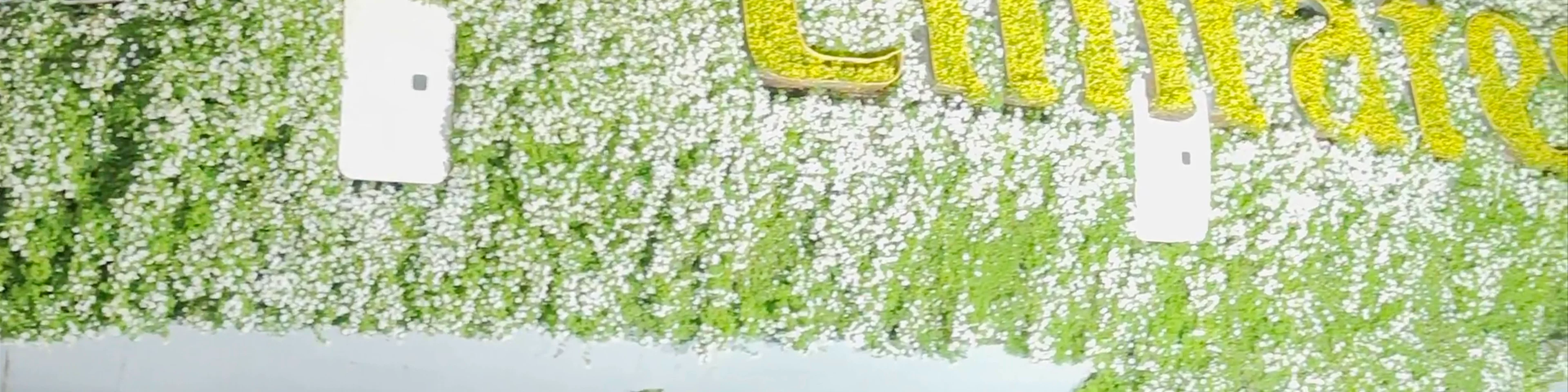 Miracle Garden Airplane Flowers - Dubai - United Arab Emirates