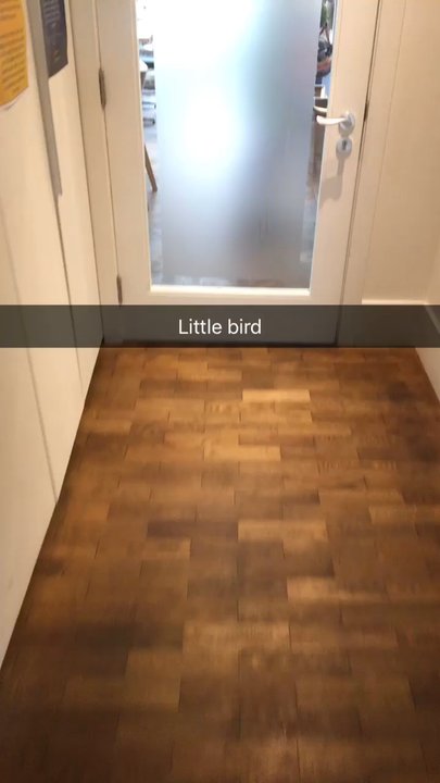 Little Bird - Yoga Near Me - Dublin, D